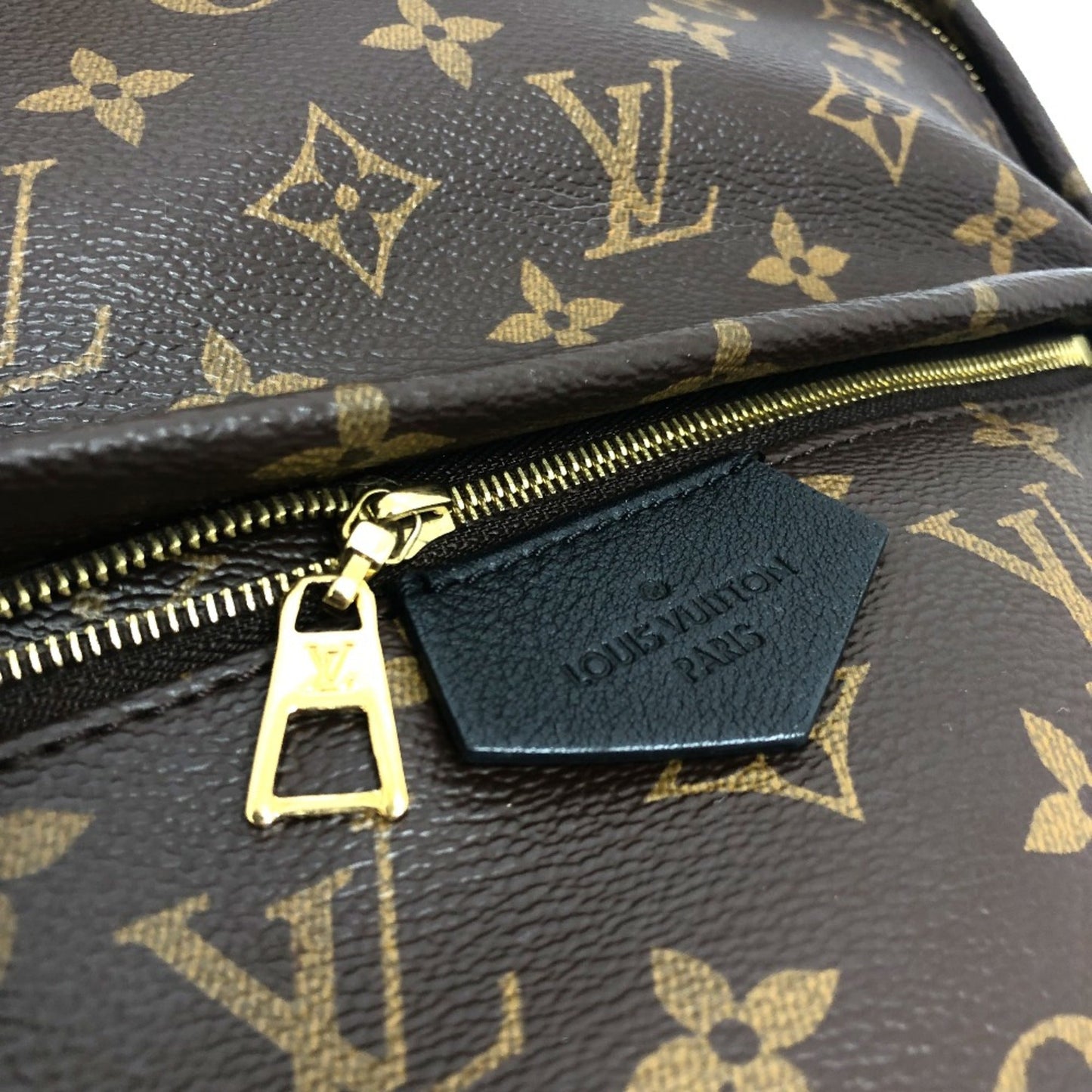 Louis Vuitton Brown Other Backpack
