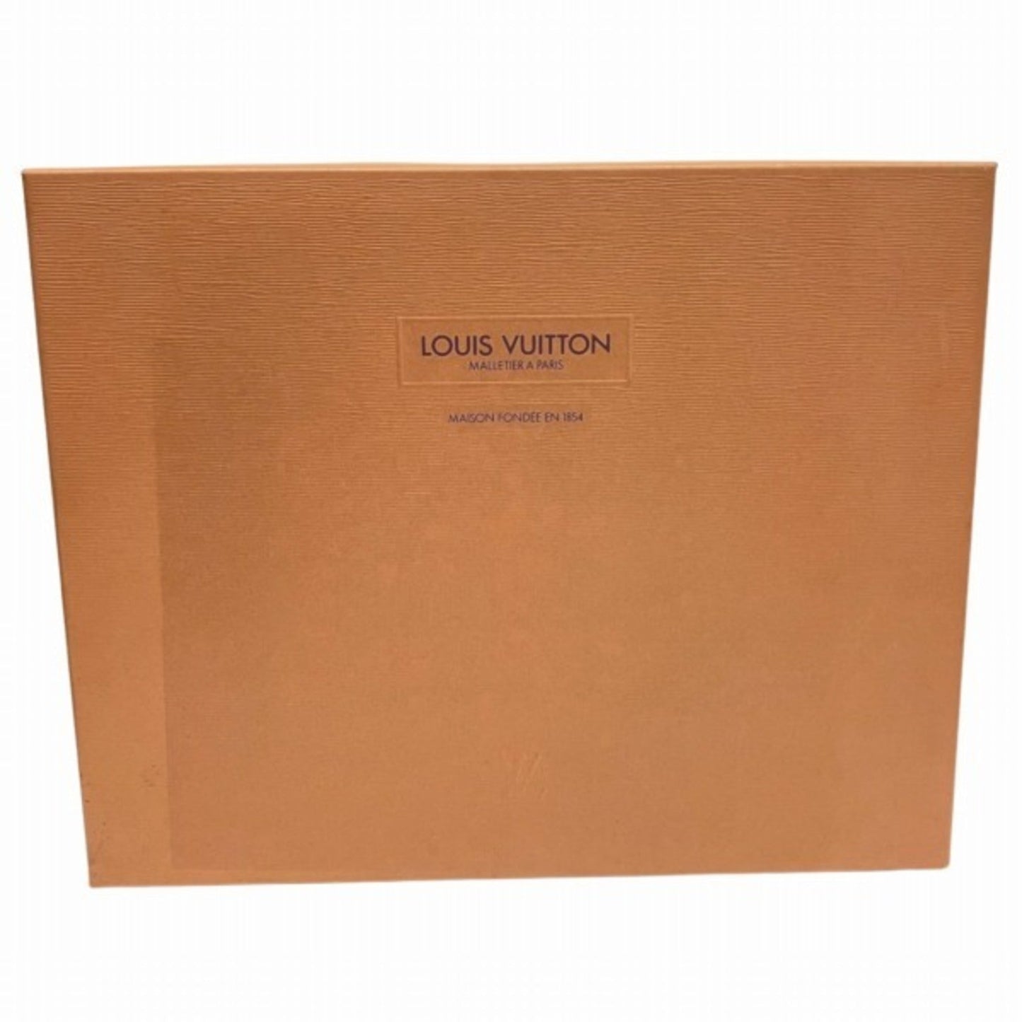 Louis Vuitton Yellow Shoulder Bag Tote Bag