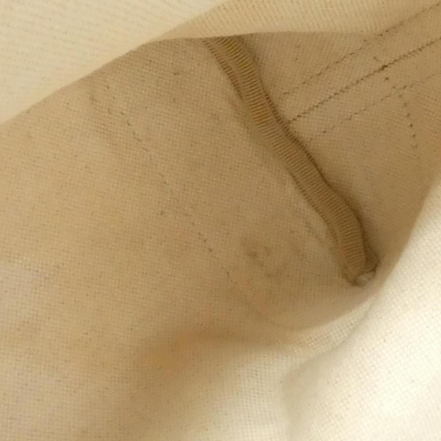 Gucci Purple Sand Canvas Tote Bag