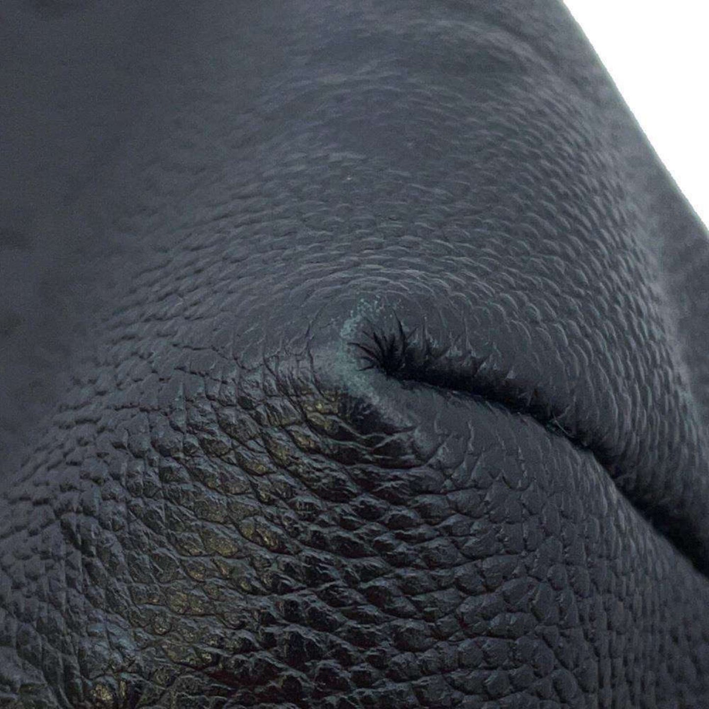 Louis Vuitton Noir Monogram Empreinte Backpack