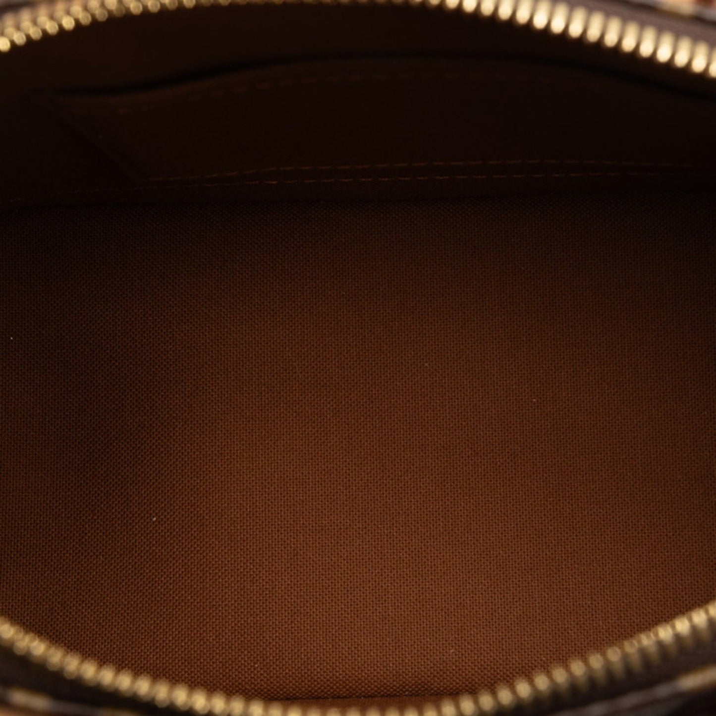 Louis Vuitton Brown Pvc Leather Handbag Shoulder Bag