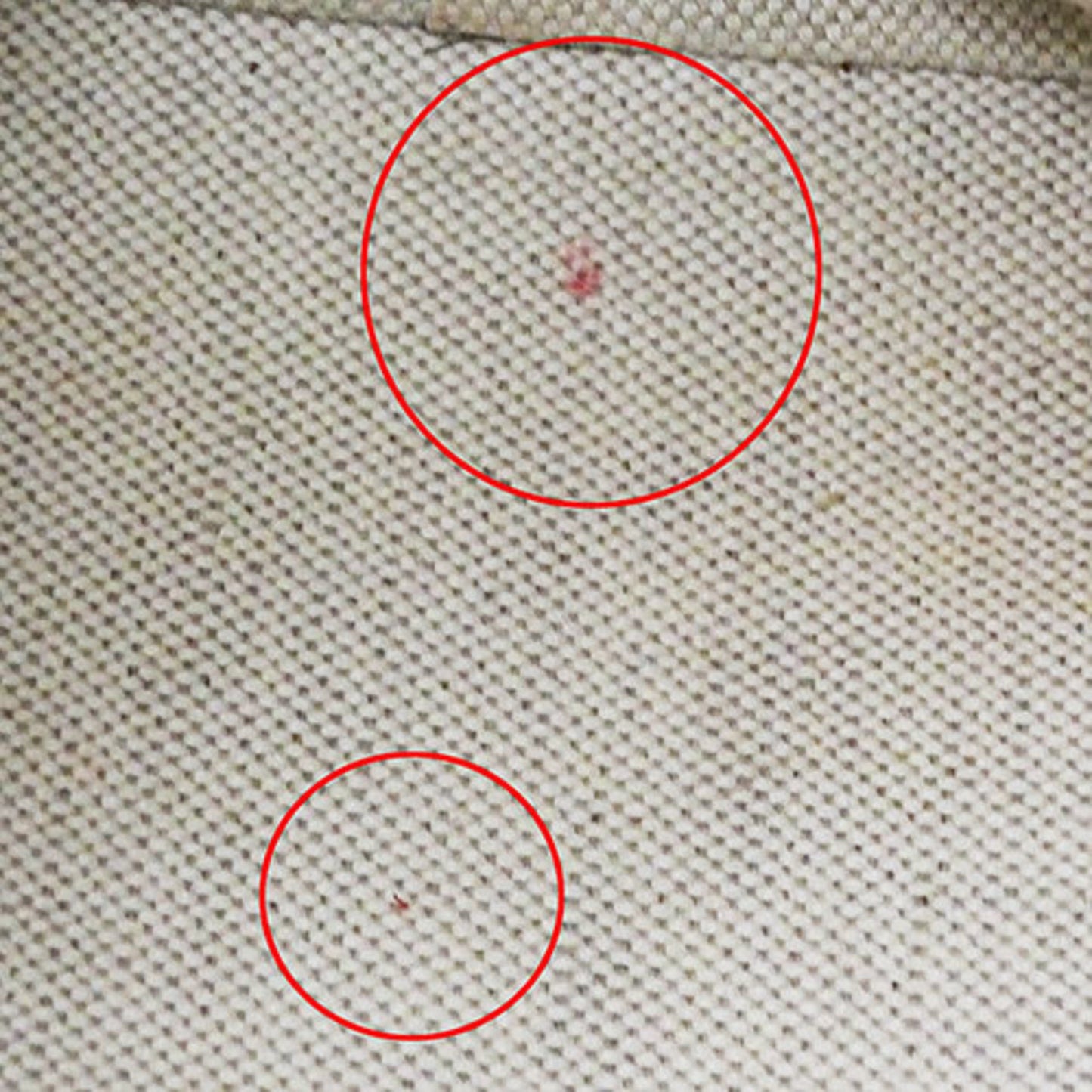 Gucci Ivory Navy Gg Supreme Tote Bag