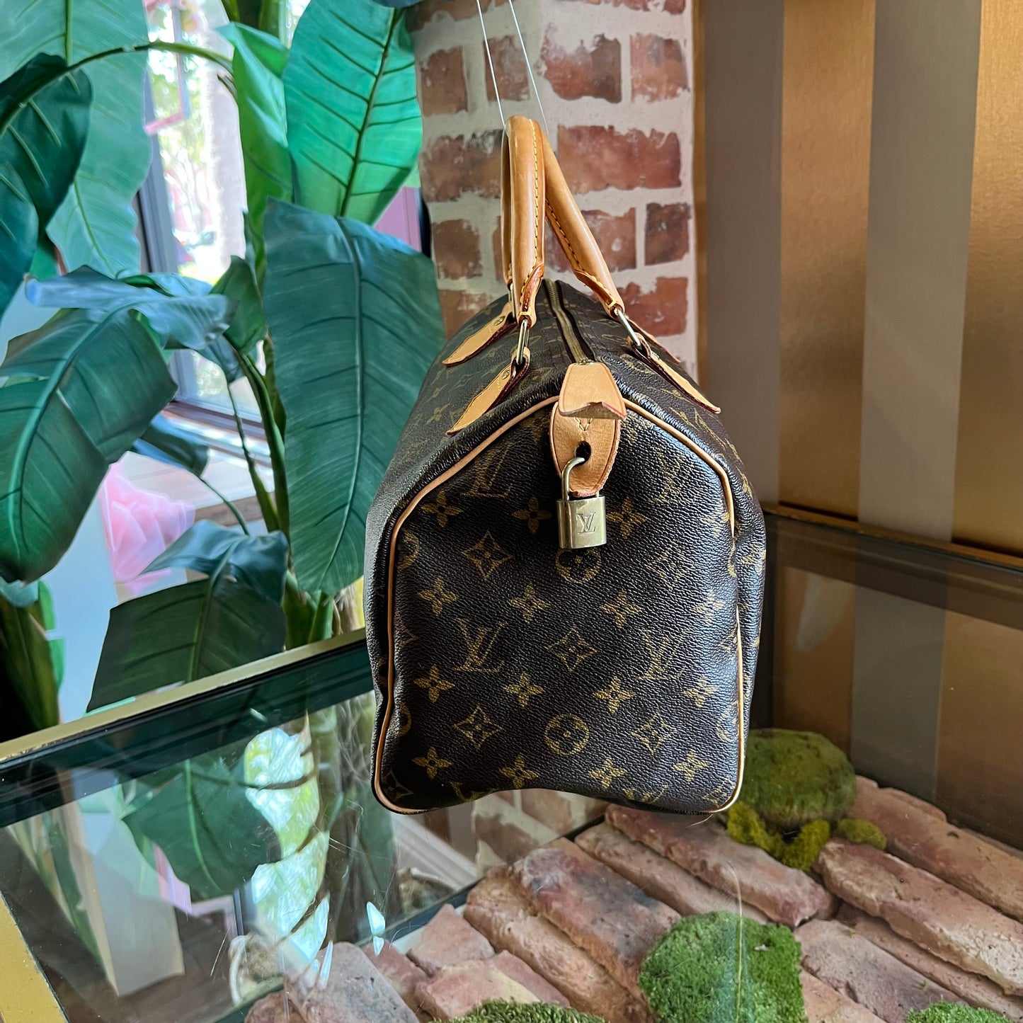 LOUIS VUITTON Speedy Monogram 30