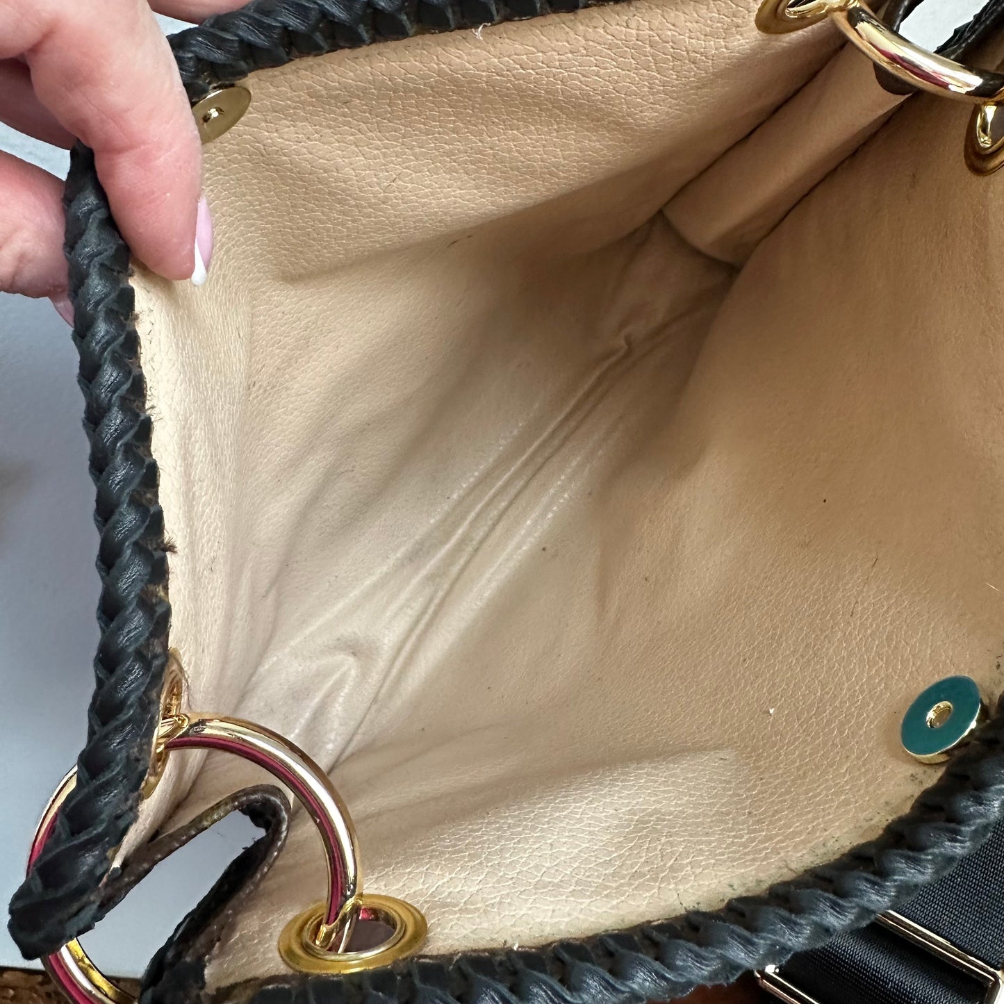 The Swan Crossbody -Orvis bags LV Monogram in Black