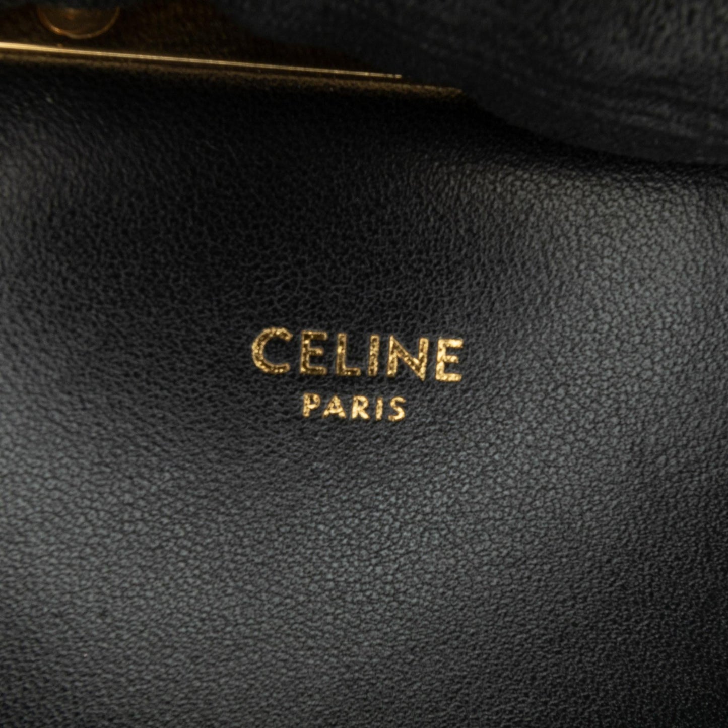 Celine Embroidered Canvas Triomphe Crossbody