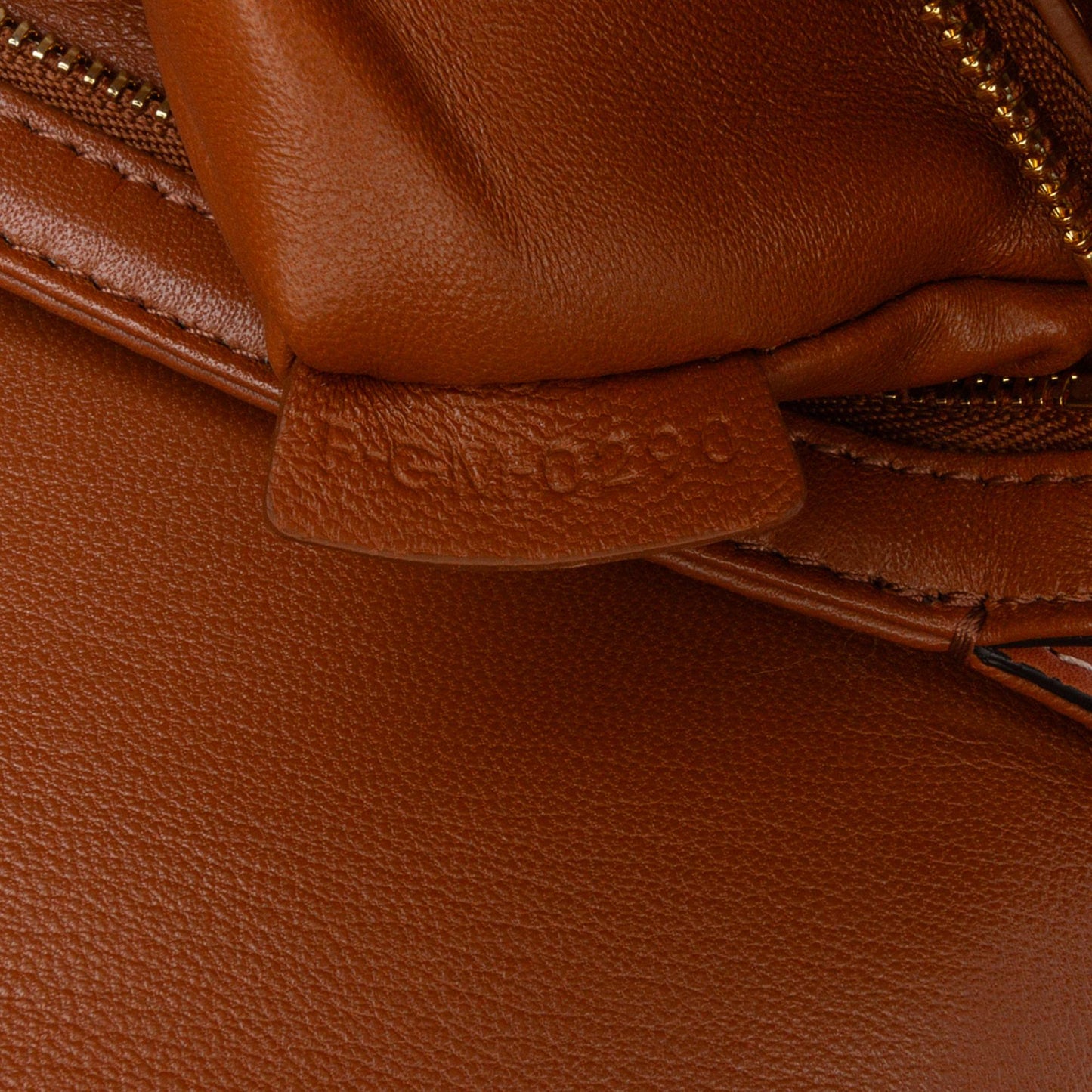 Celine Teen Coated Canvas Triomphe Crossbody