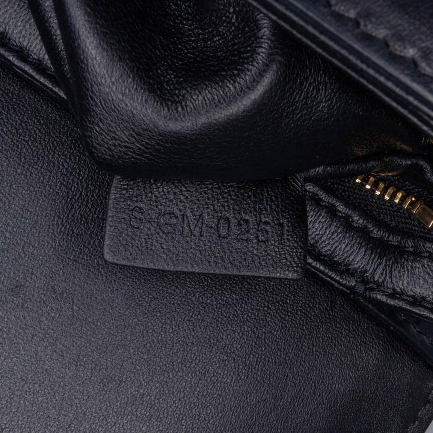 Celine Teen Embroidered Canvas Triomphe Crossbody