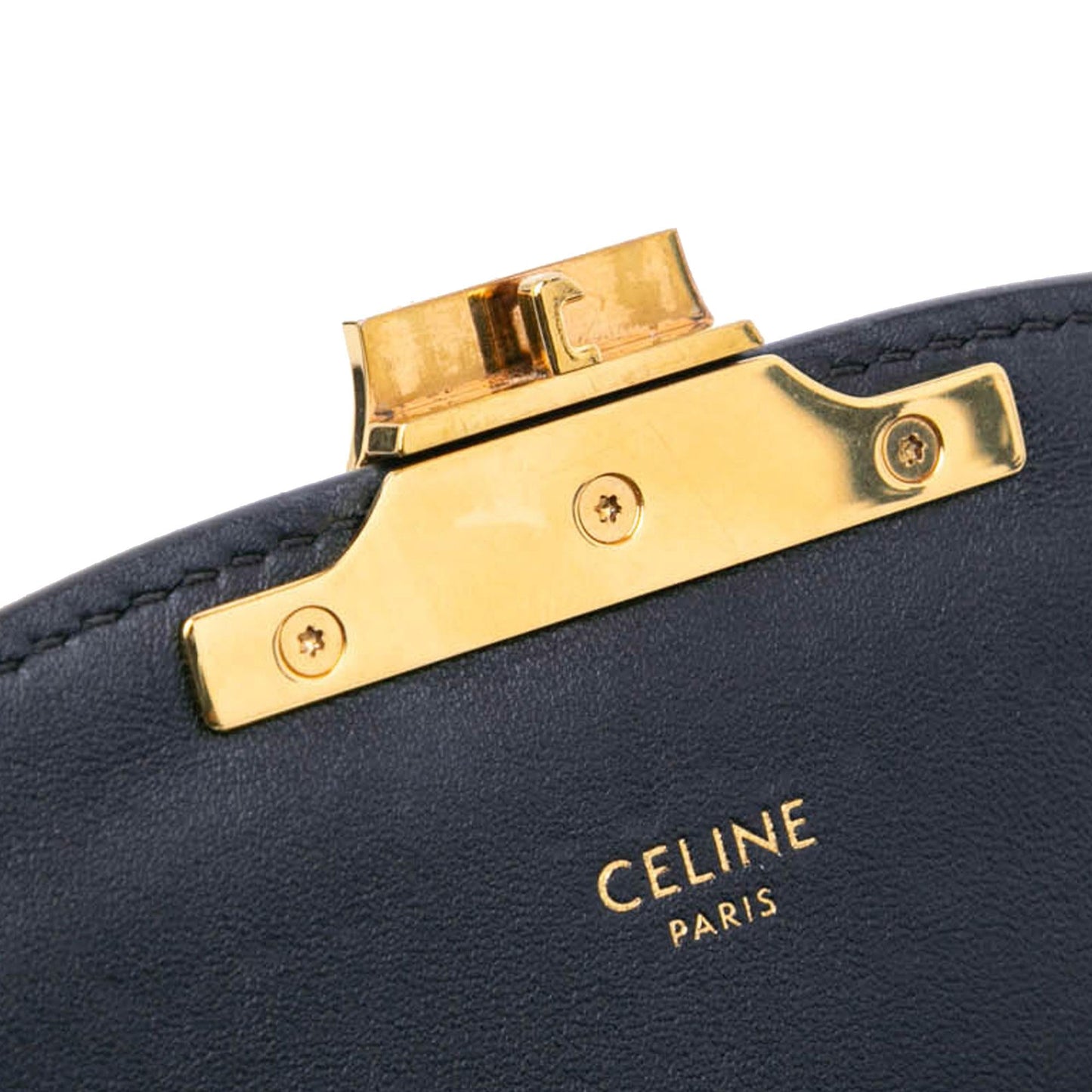 Celine Teen Embroidered Canvas Triomphe Crossbody