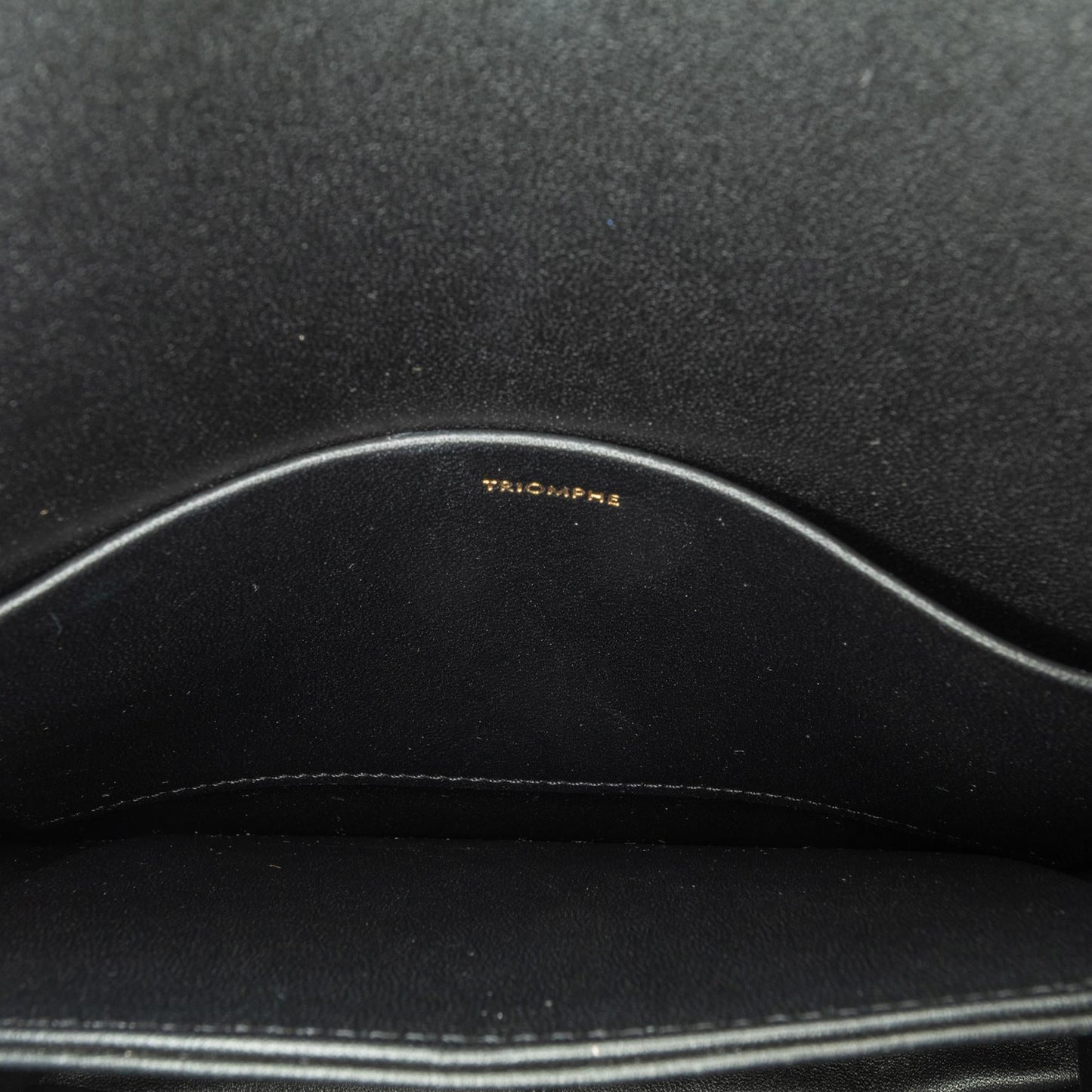 Celine Teen Shiny Calfskin Triomphe Crossbody (SHG-wclCE3)