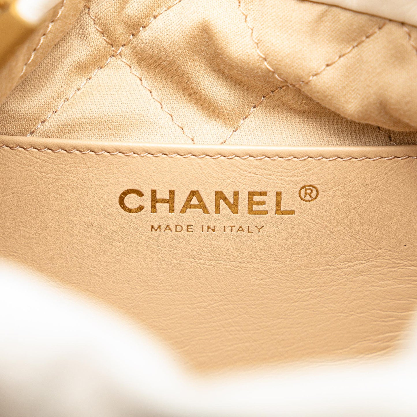 Chanel Mini Shiny Calfskin 22 Hobo (SHG-sj5j49)
