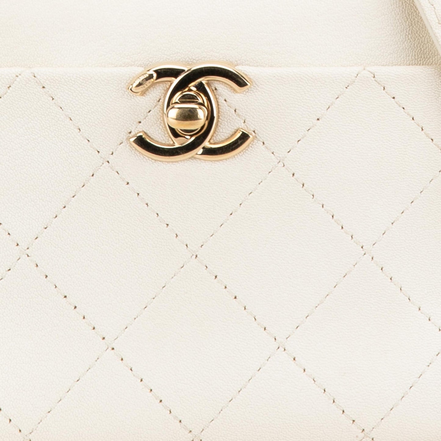 Chanel Small Quilted Goatskin Casual Trip Camera Bag