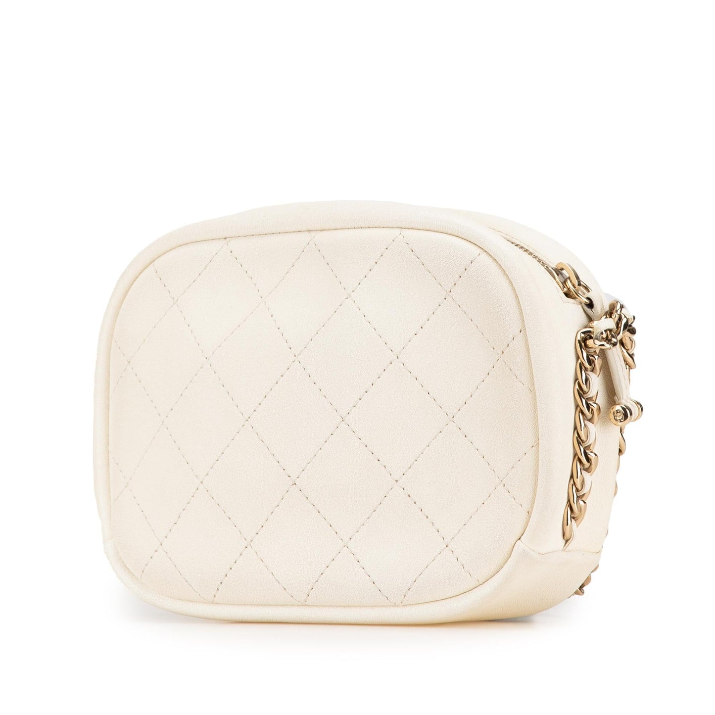 Chanel Small Quilted Goatskin Casual Trip Camera Bag