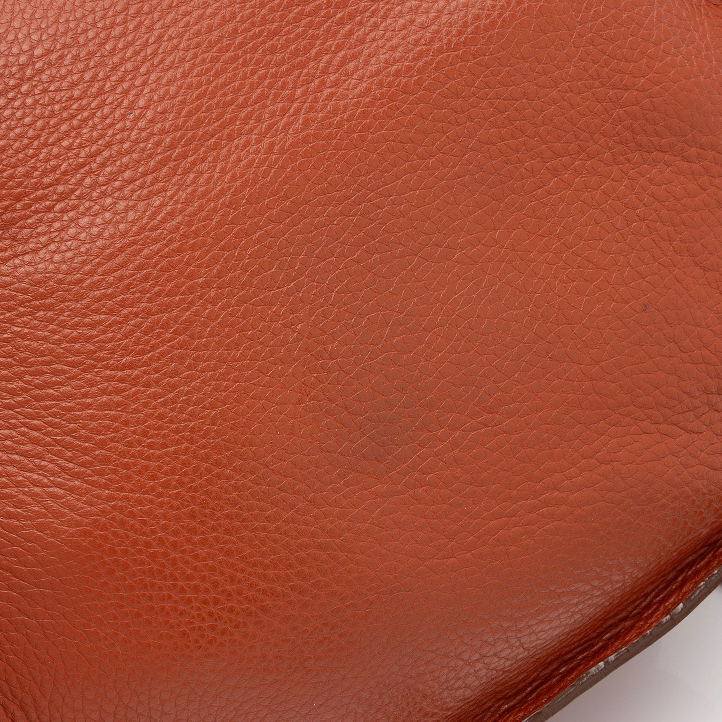 Chloe Calfskin Marcie Medium Crossbody (SHF-Q3qTsX)