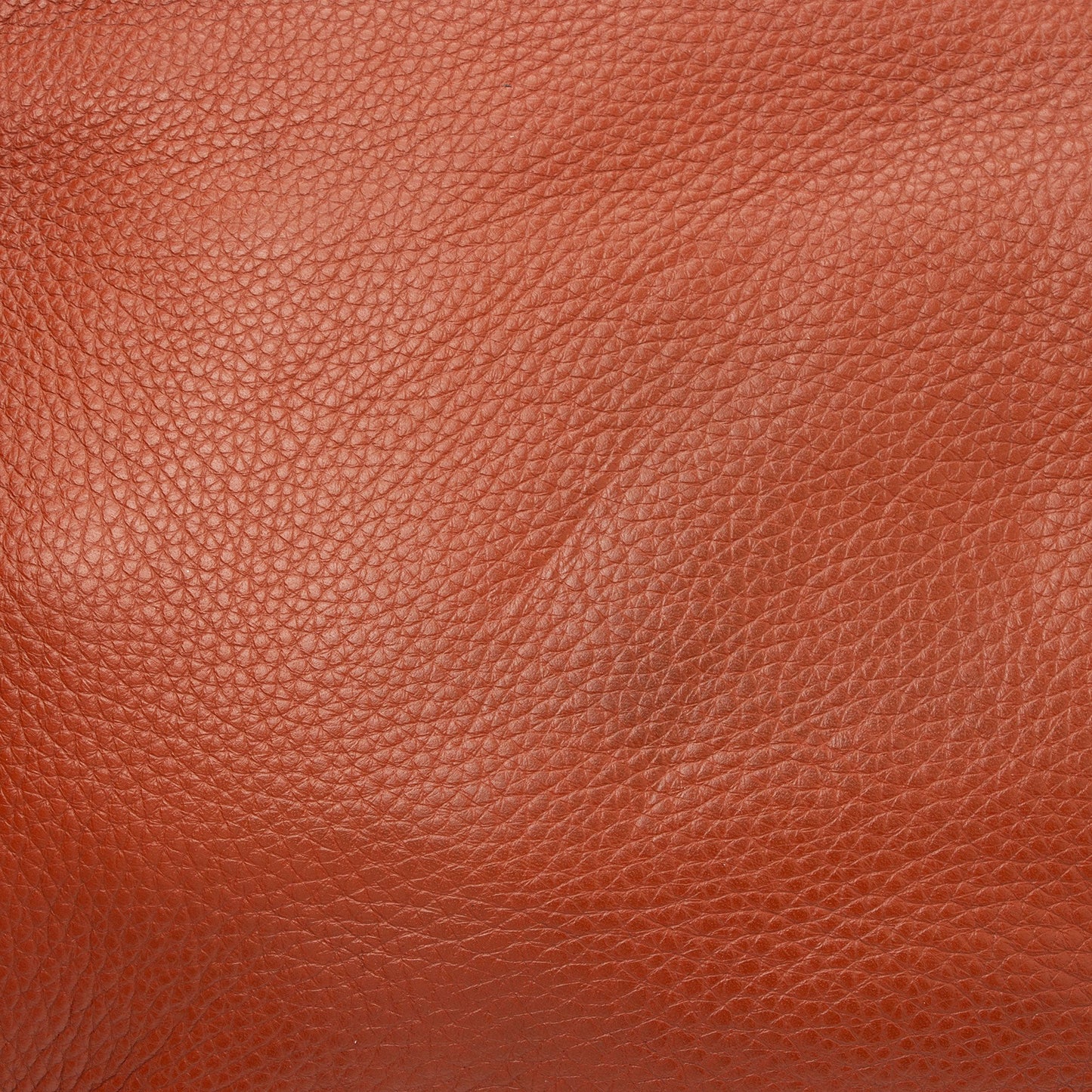 Chloe Calfskin Marcie Medium Crossbody (SHF-Q3qTsX)