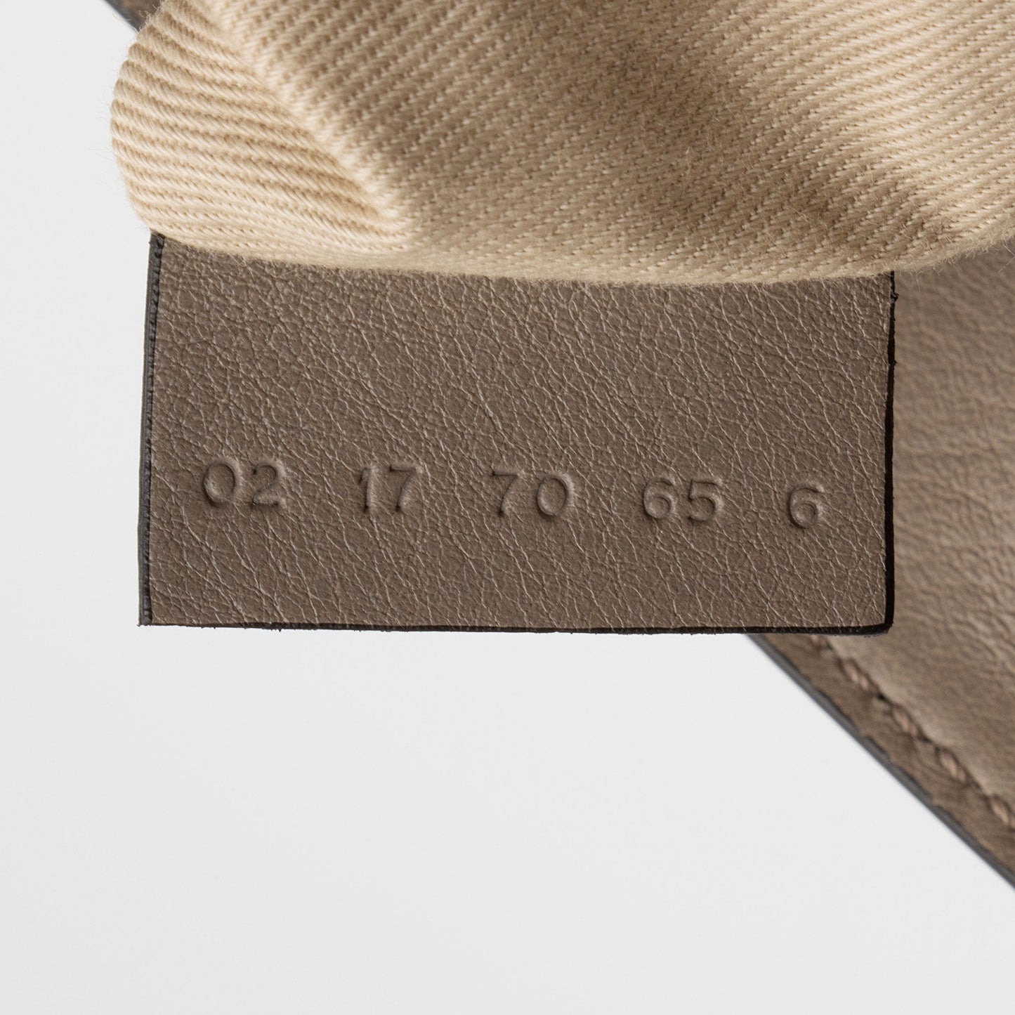 Chloe Calfskin Suede Faye Medium Backpack (SHF-BH2EAY)