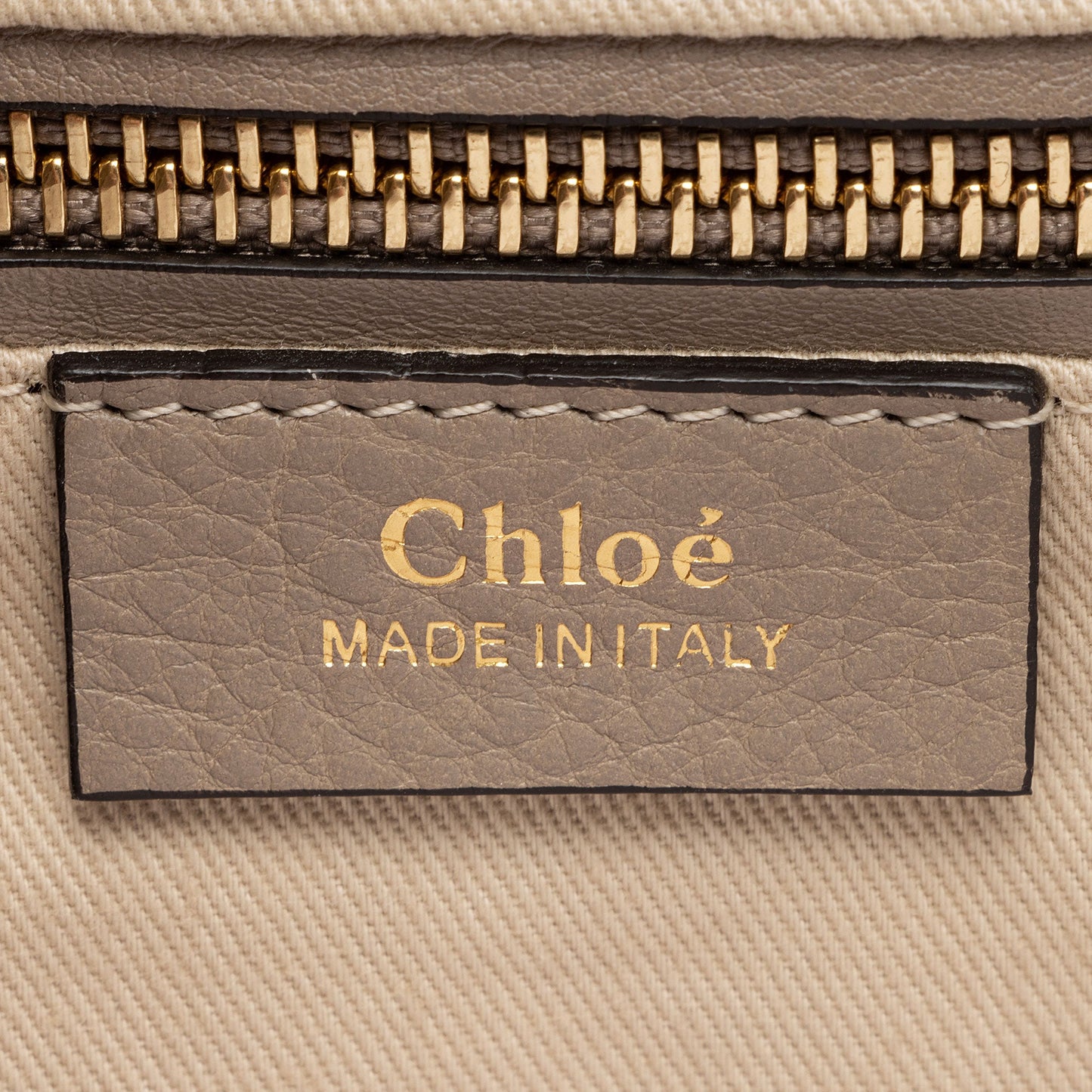 Chloe Calfskin Suede Faye Medium Backpack (SHF-BH2EAY)