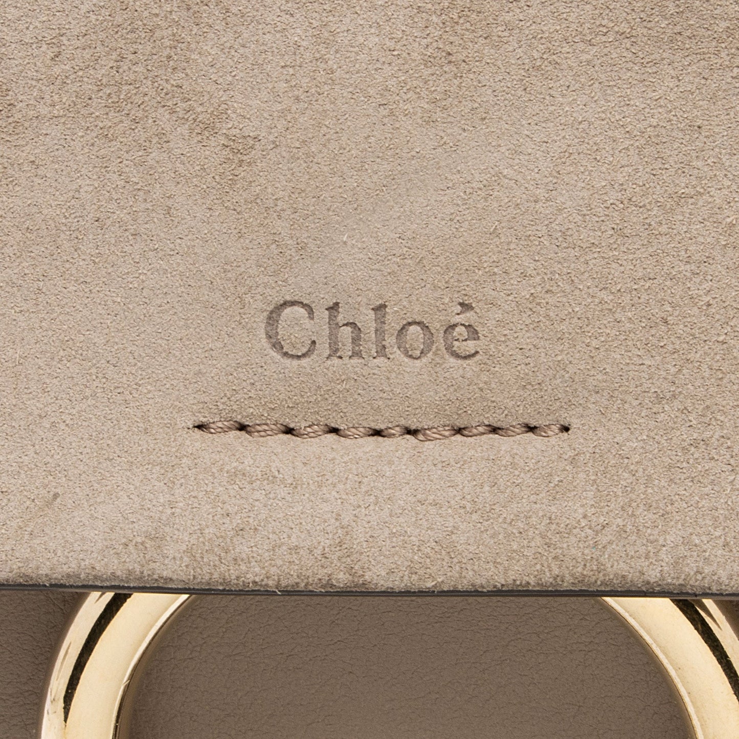 Chloe Calfskin Suede Faye Medium Backpack (SHF-BH2EAY)