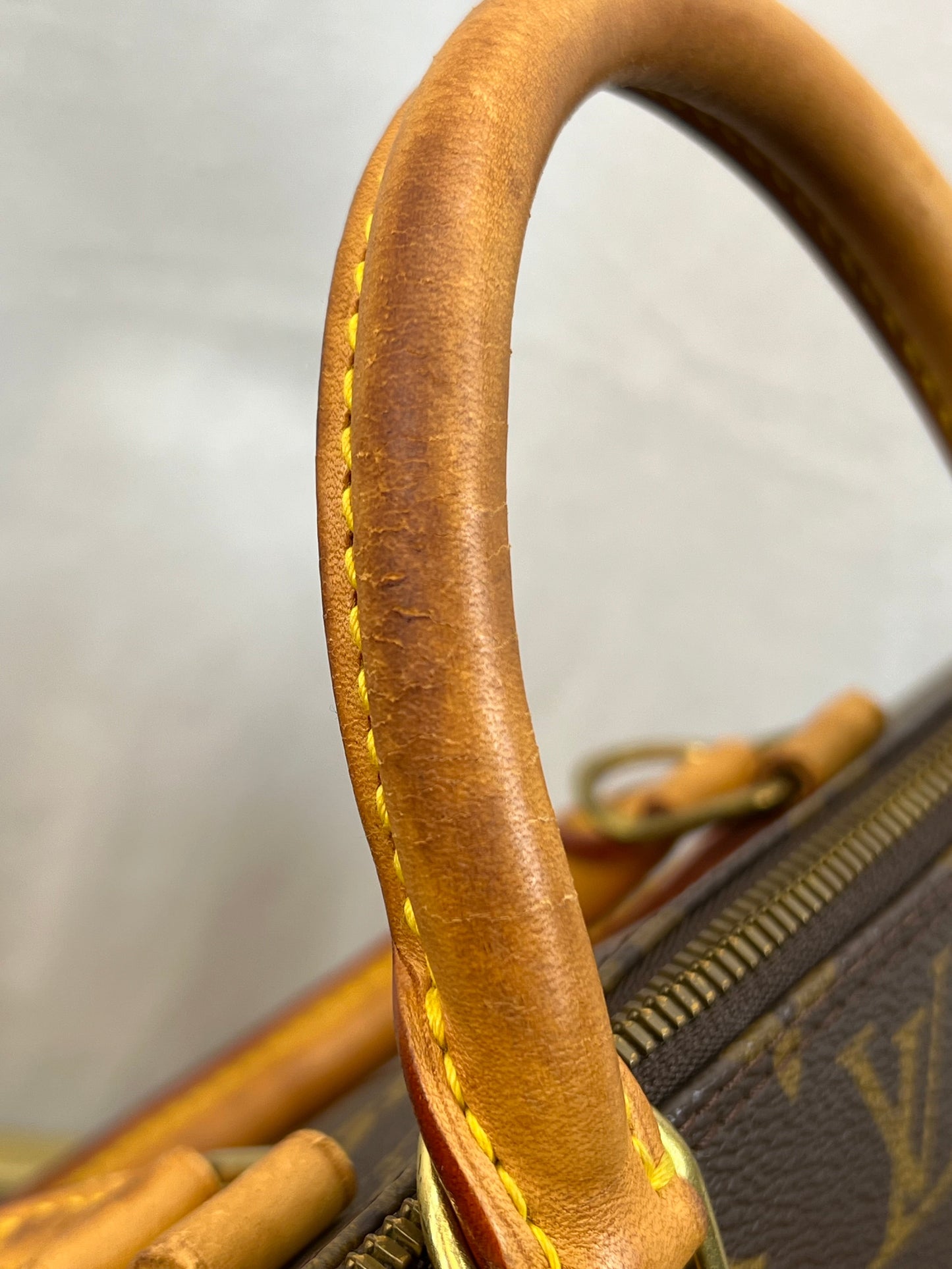 LOUIS VUITTON Monogram Alma PM Satchel