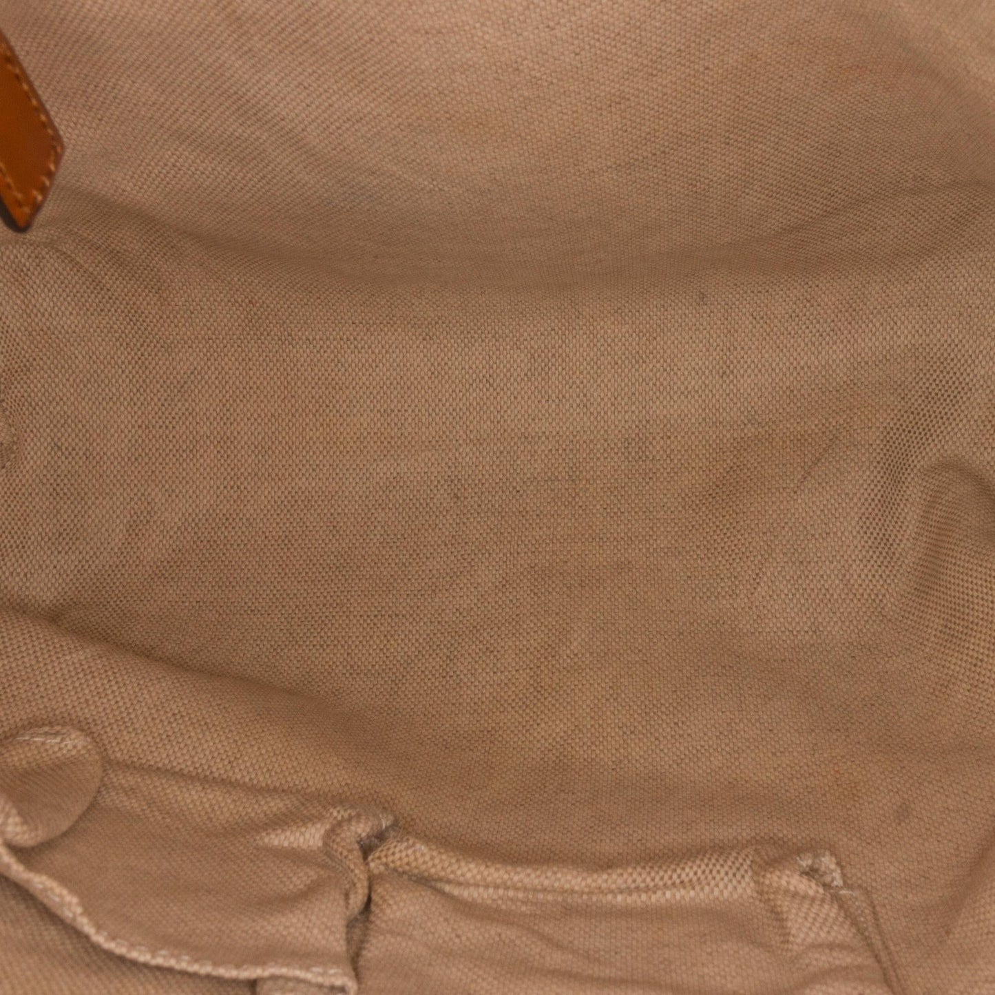 Gucci GG Canvas Crossbody Bag (SHG-XXqOBr)