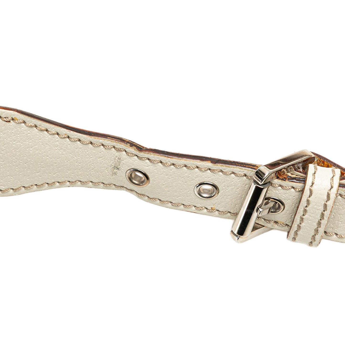 Gucci GG Canvas Web Pop Crossbody