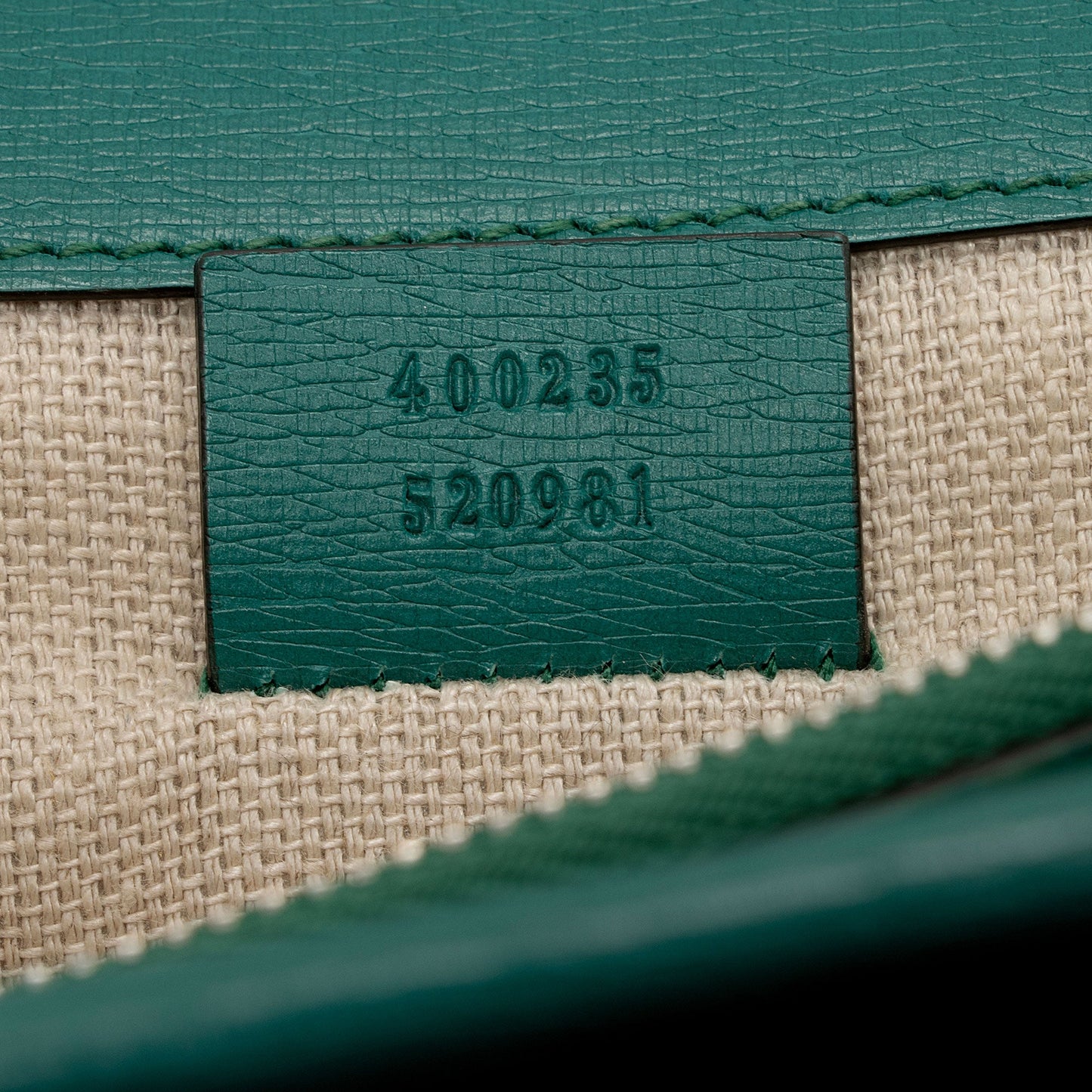 Gucci Leather Blooms Dionysus Medium Shoulder Bag (SHF-XlECb6)
