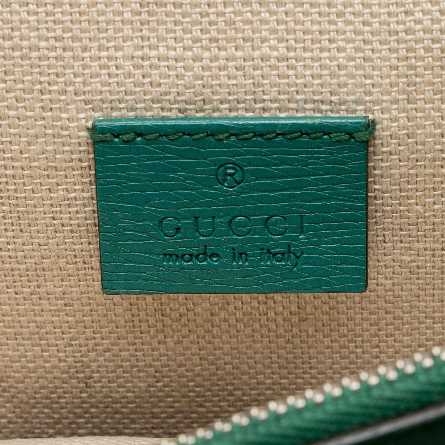 Gucci Leather Blooms Dionysus Medium Shoulder Bag (SHF-XlECb6)