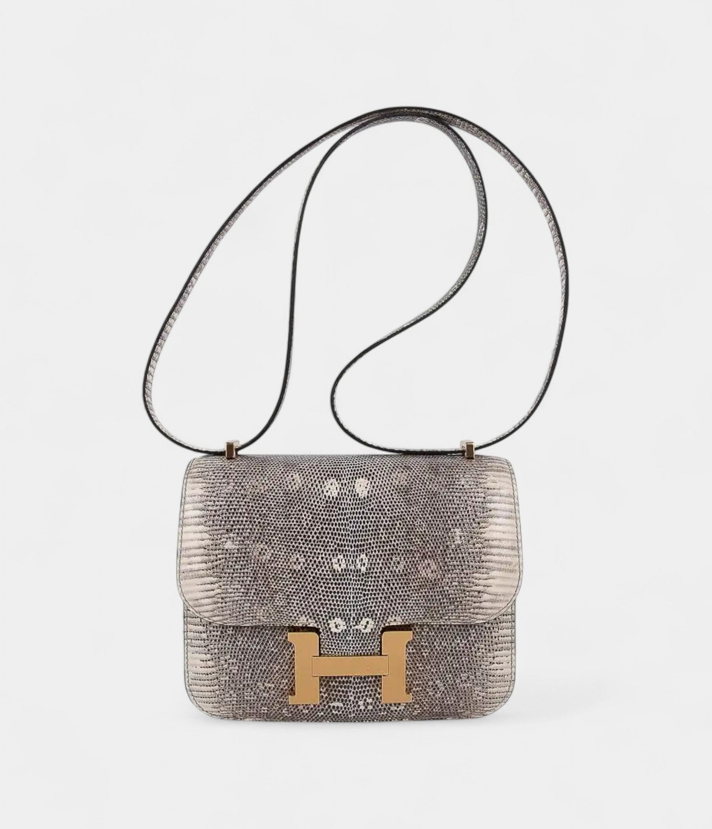 Hermes Constance Bag 18 Ombre Lizard Gold Hardware