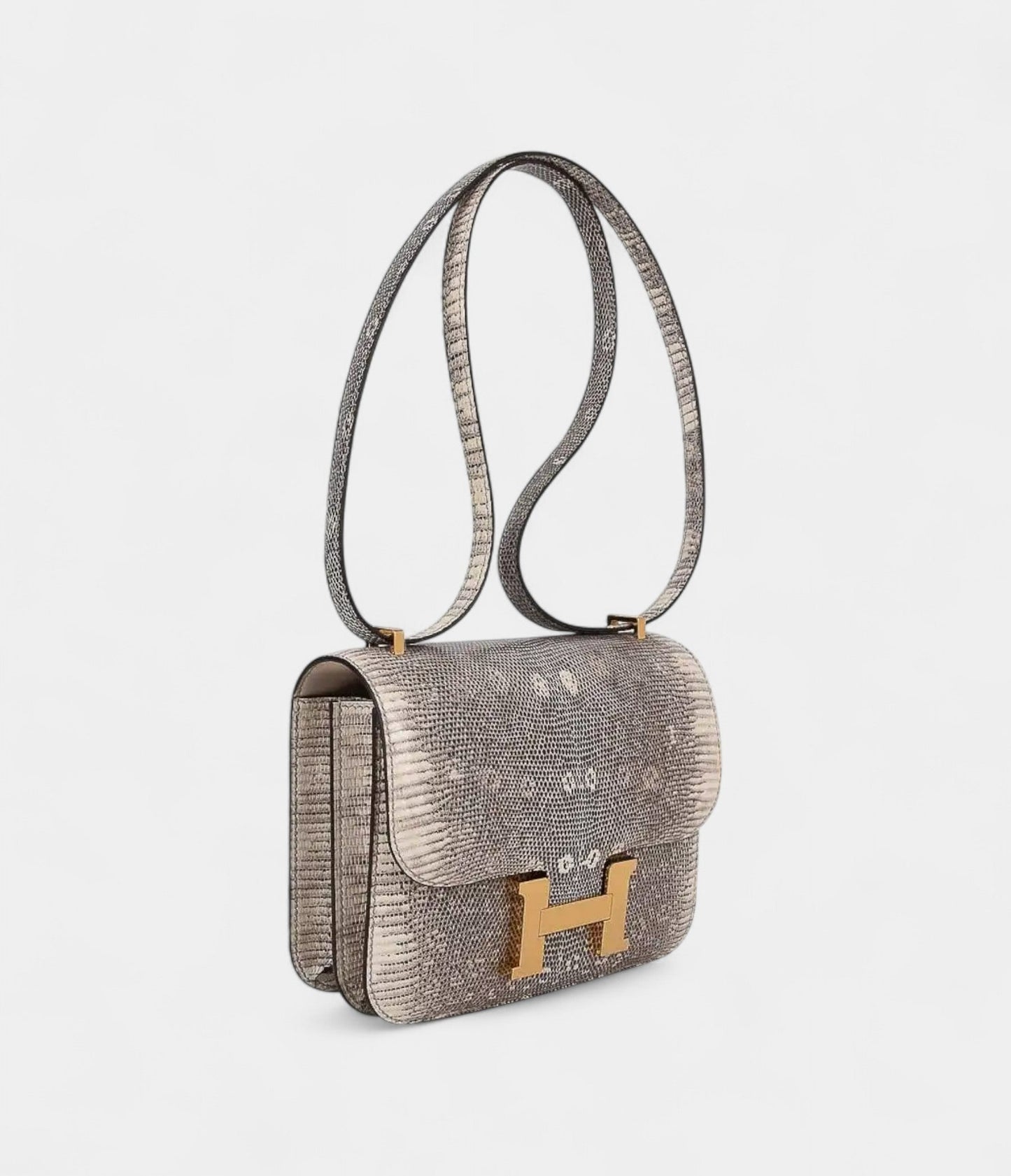 Hermes Constance Bag 18 Ombre Lizard Gold Hardware