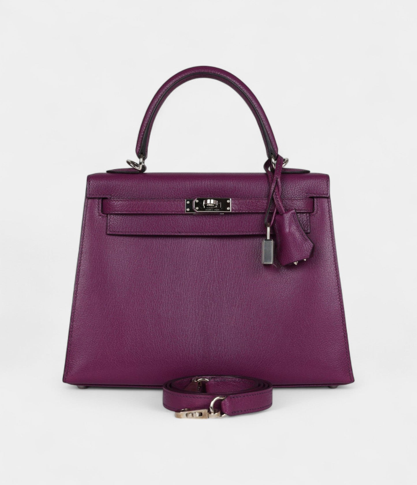 Hermes Kelly 25 Anemone Chevre Mysore Palladium Hardware