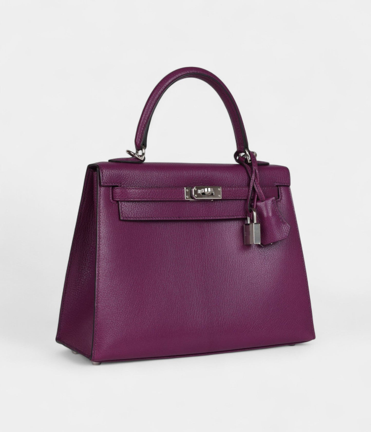 Hermes Kelly 25 Anemone Chevre Mysore Palladium Hardware