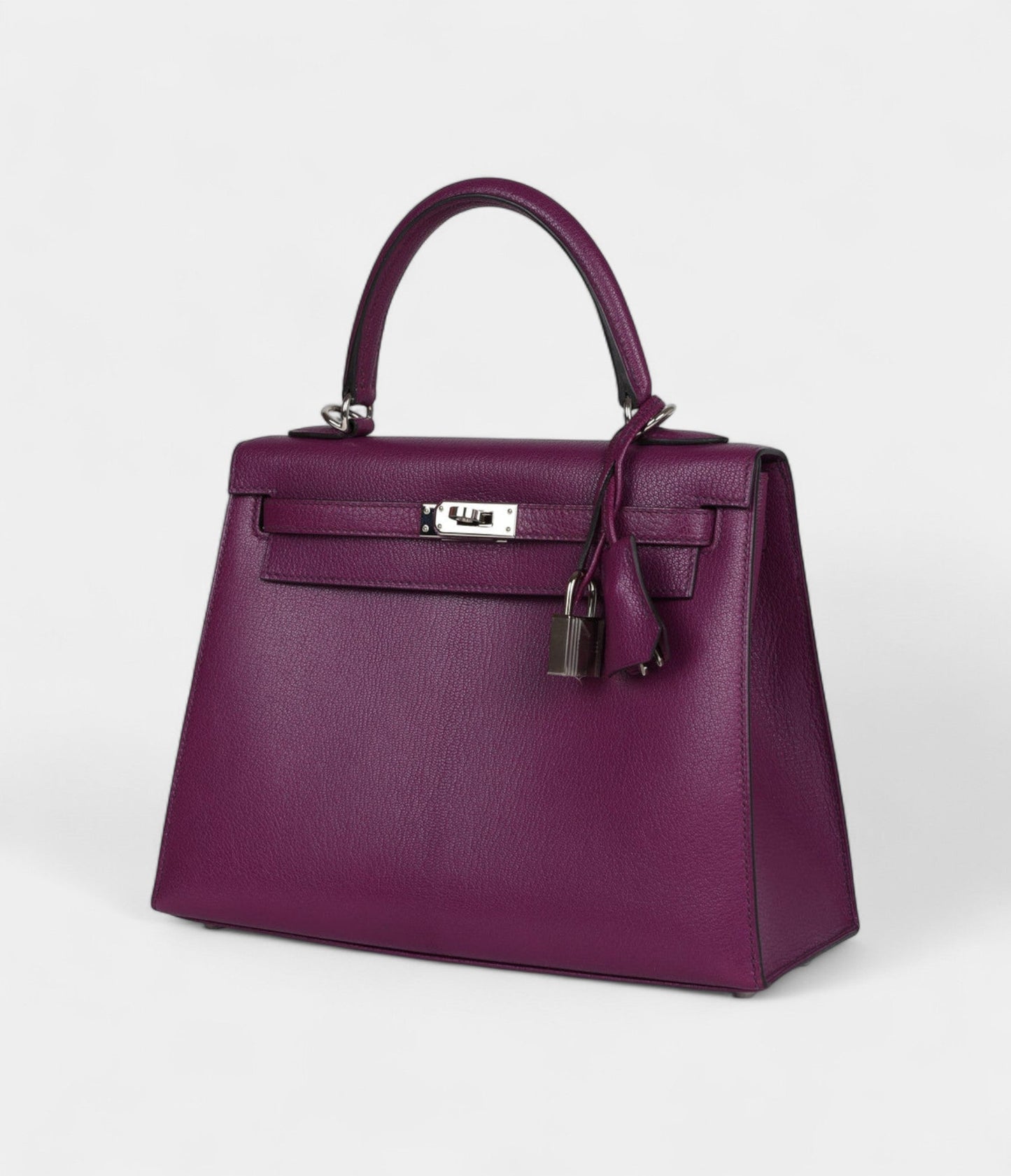 Hermes Kelly 25 Anemone Chevre Mysore Palladium Hardware