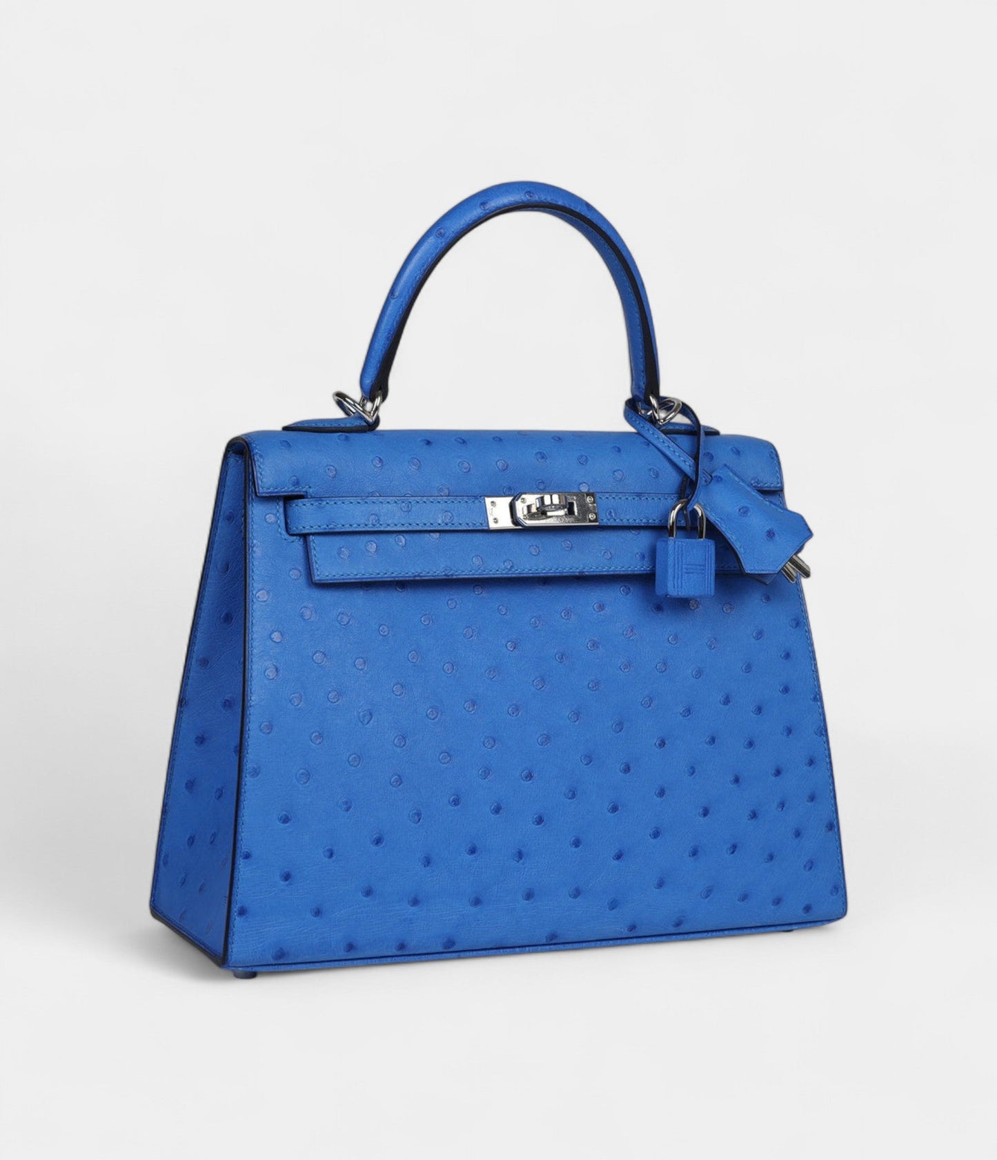 Hermes Kelly 25 Bleu Ostrich Palladium Hardware
