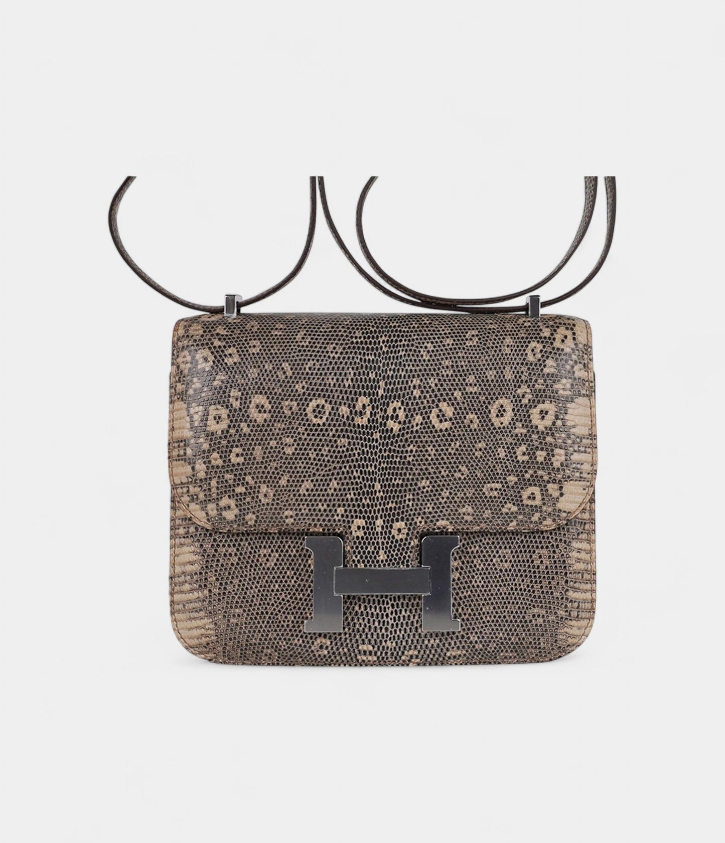 Hermes Limited Edition Mini Constance 18 Desert Lizard Palladium Hardware