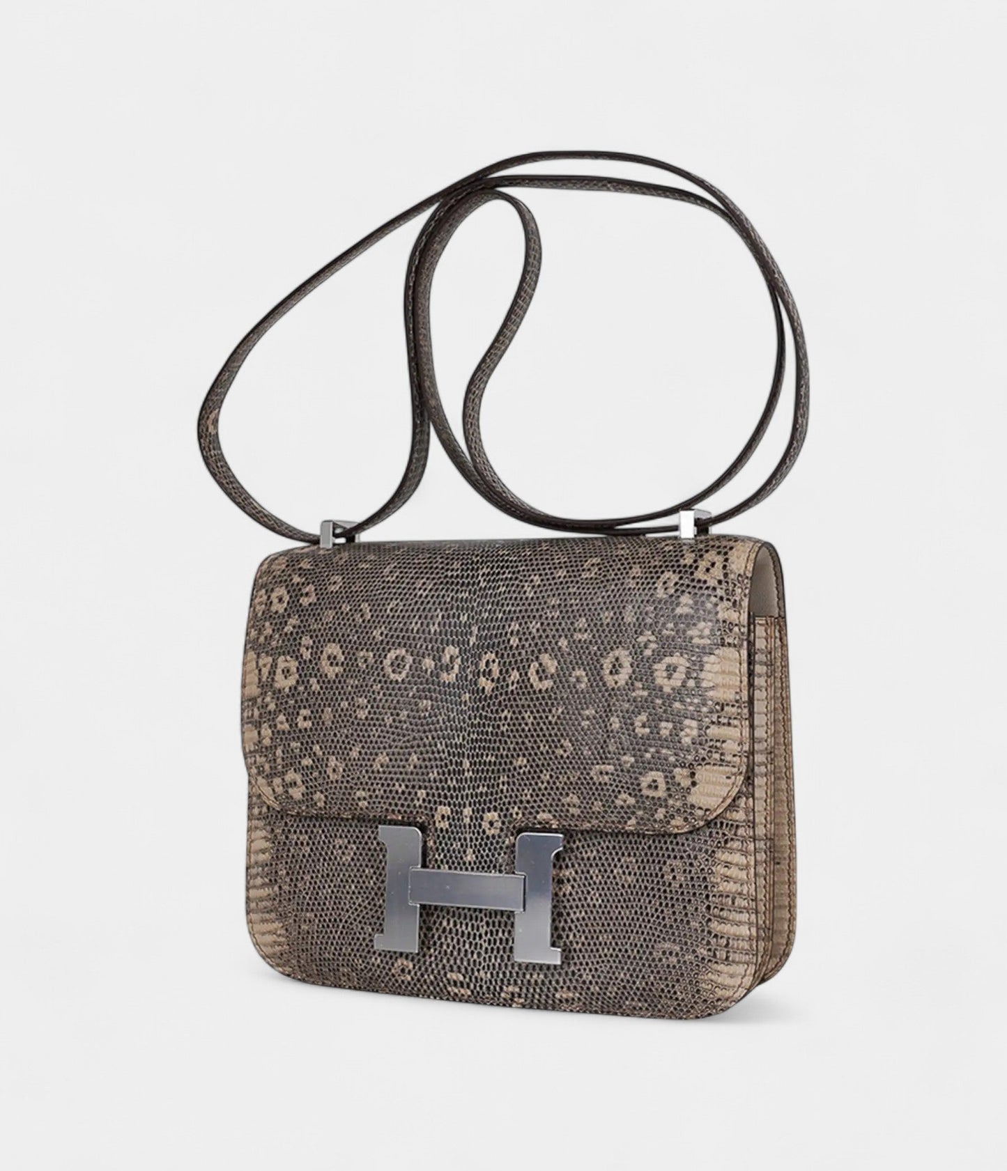 Hermes Limited Edition Mini Constance 18 Desert Lizard Palladium Hardware