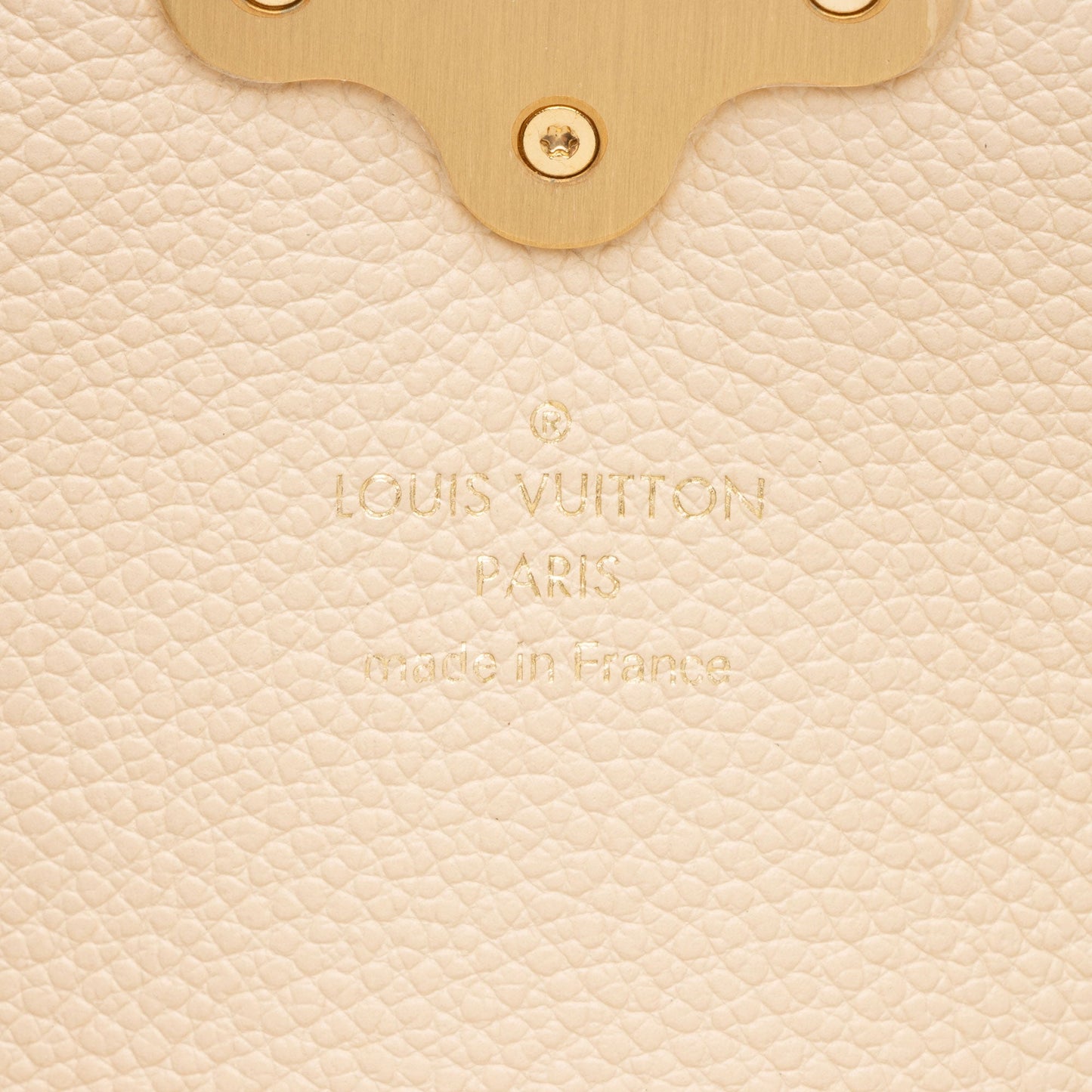 Louis Vuitton Damier Ebene Clapton Backpack