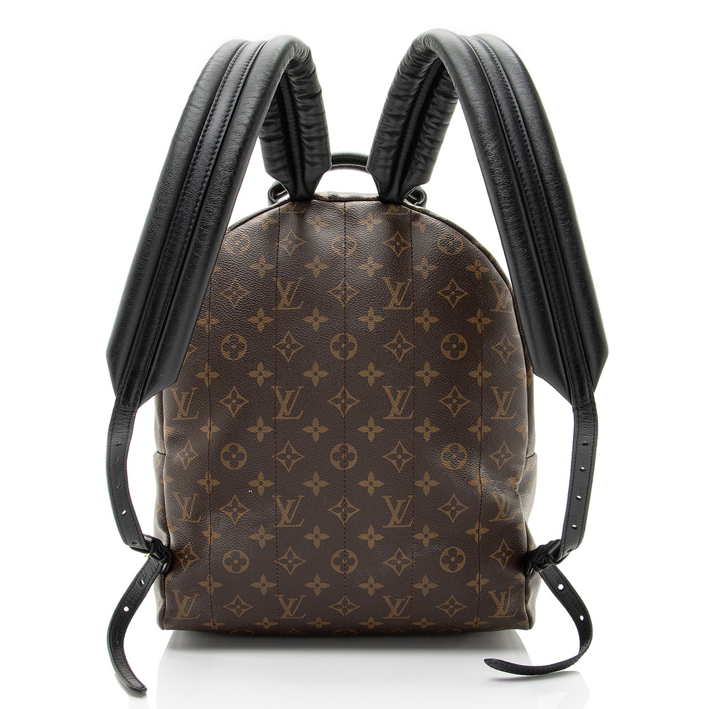 Louis Vuitton Monogram Canvas Palm Springs MM Backpack