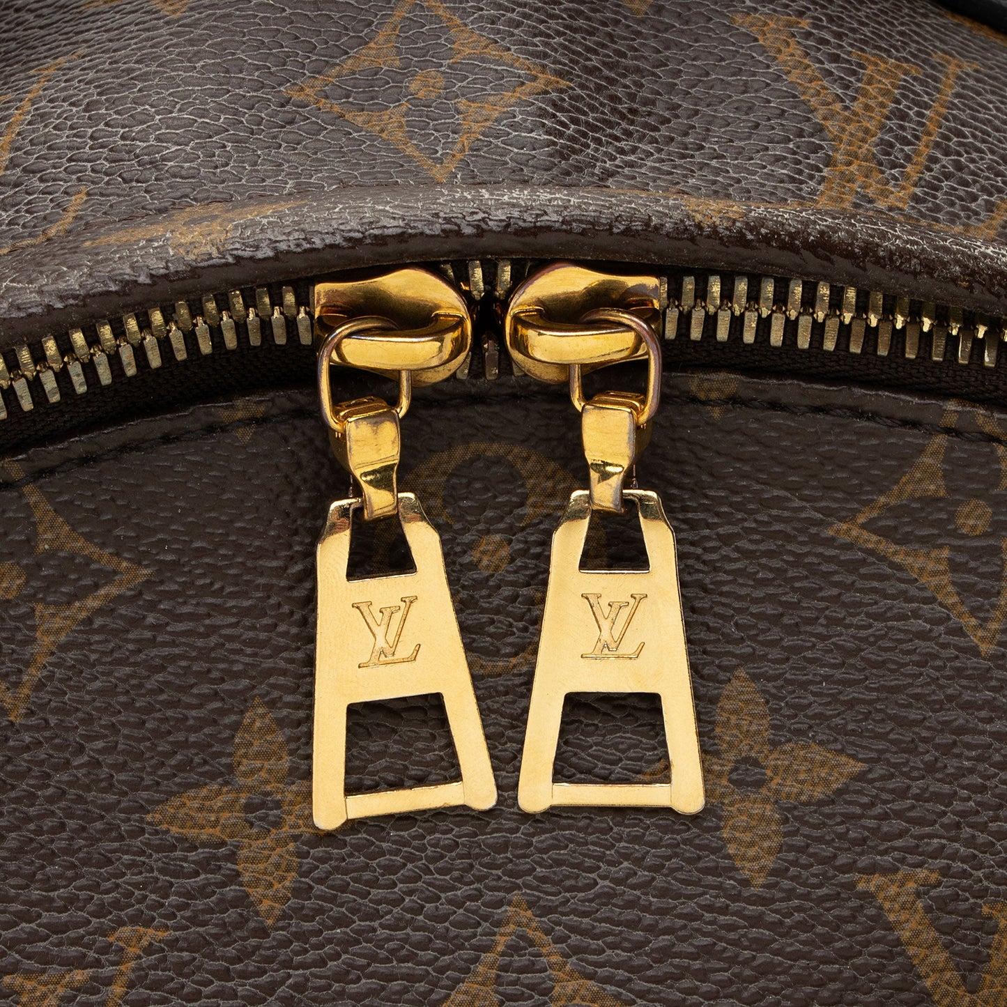 Louis Vuitton Monogram Canvas Palm Springs MM Backpack