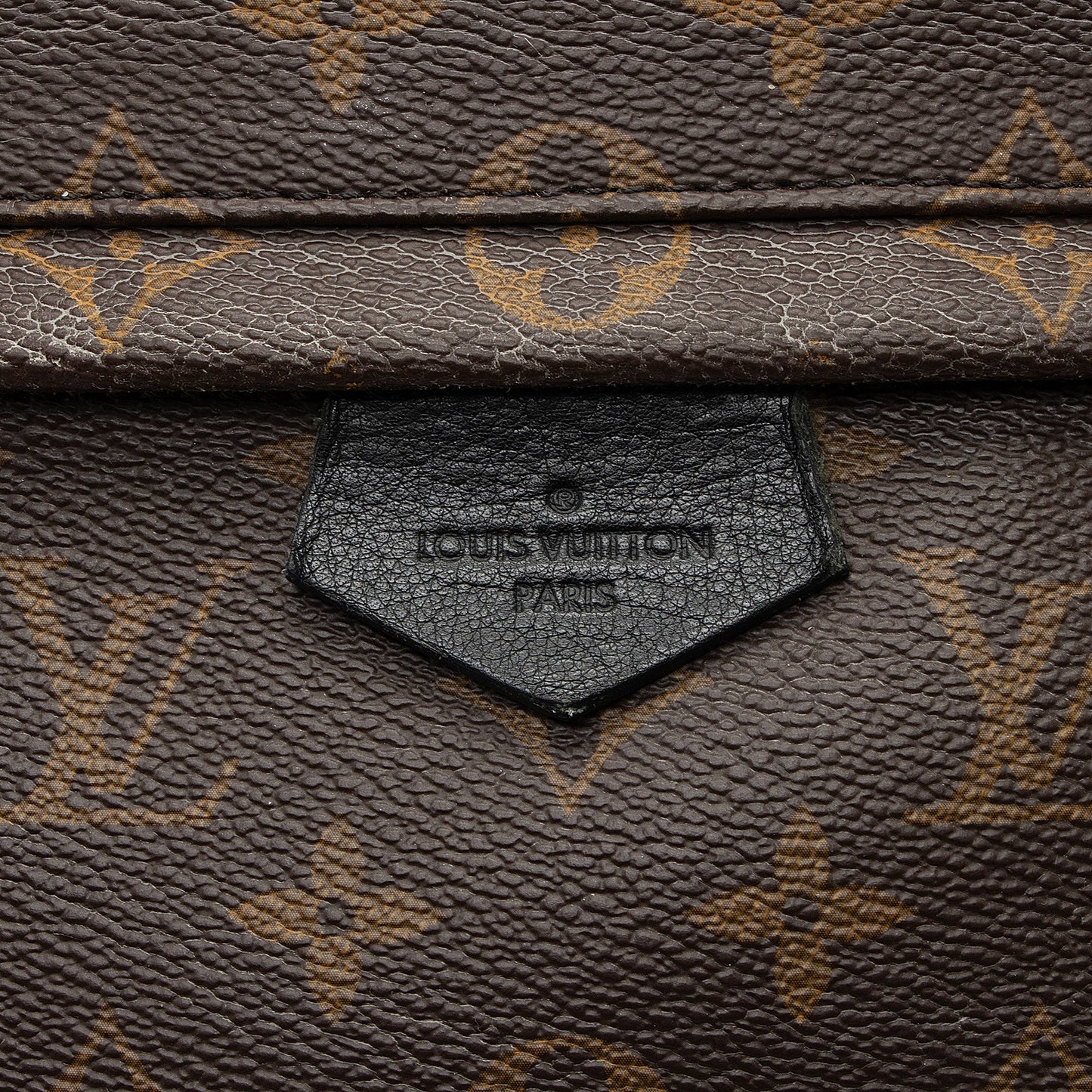 Louis Vuitton Monogram Canvas Palm Springs MM Backpack