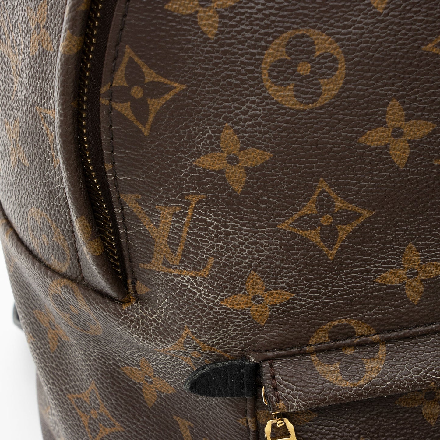 Louis Vuitton Monogram Canvas Palm Springs MM Backpack