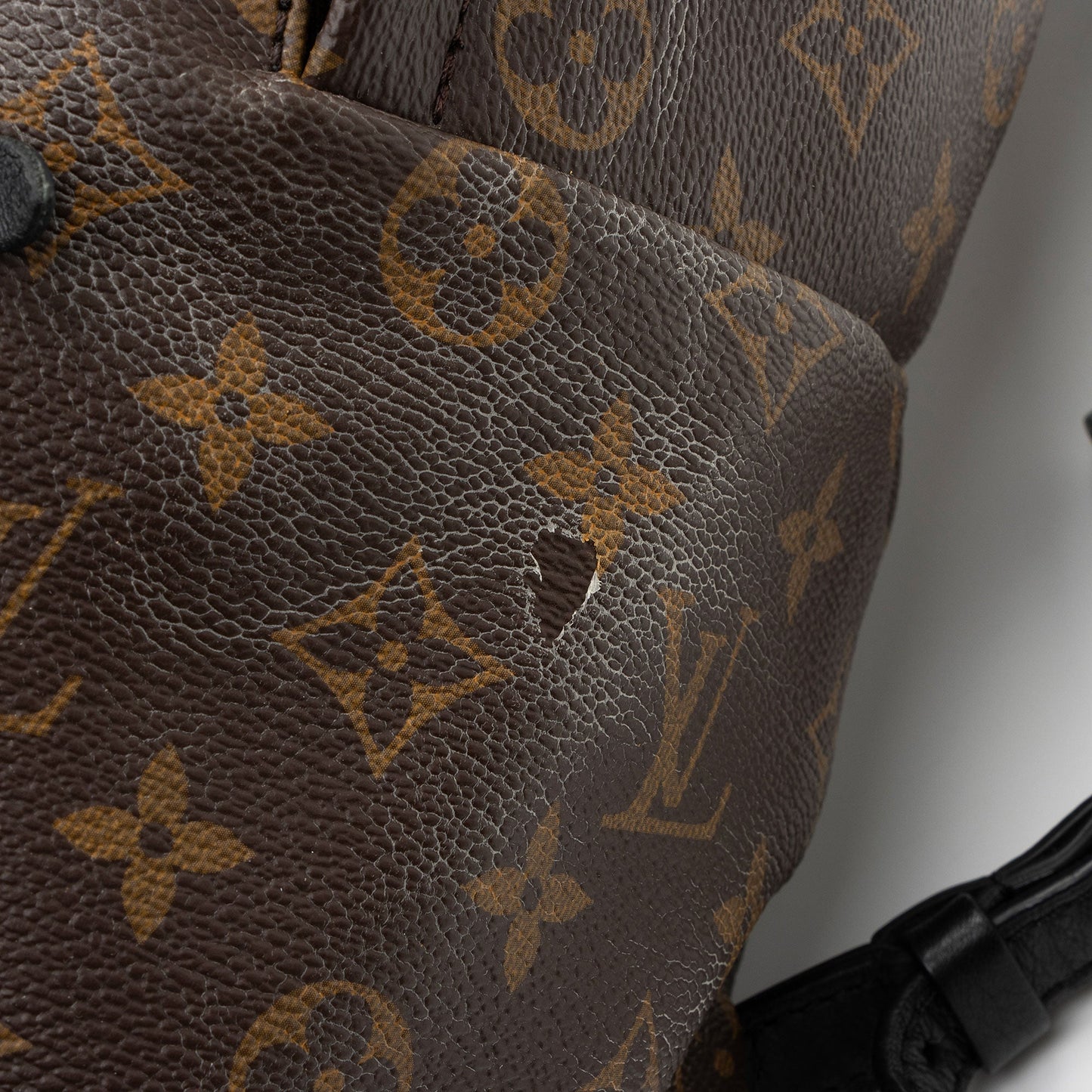 Louis Vuitton Monogram Canvas Palm Springs MM Backpack