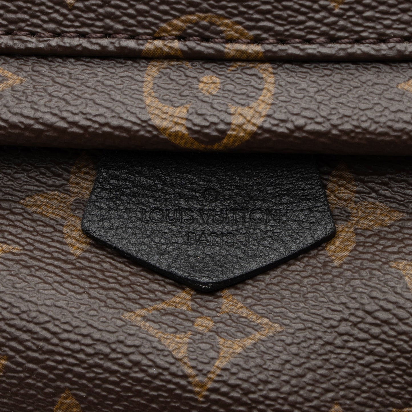 Louis Vuitton Monogram Canvas Palm Springs Mini Backpack