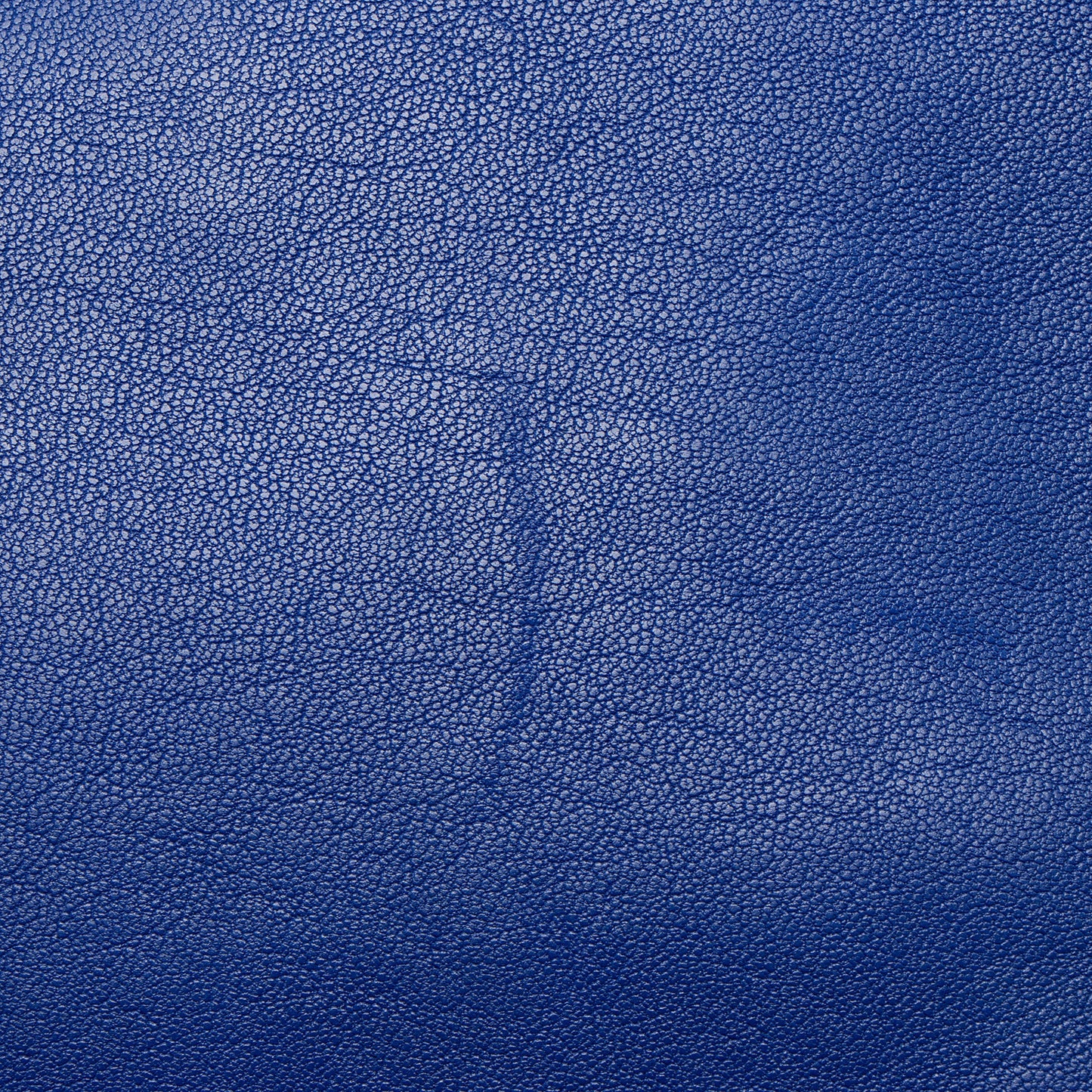 Saint Laurent Calfskin Monogram Lou Camera Bag