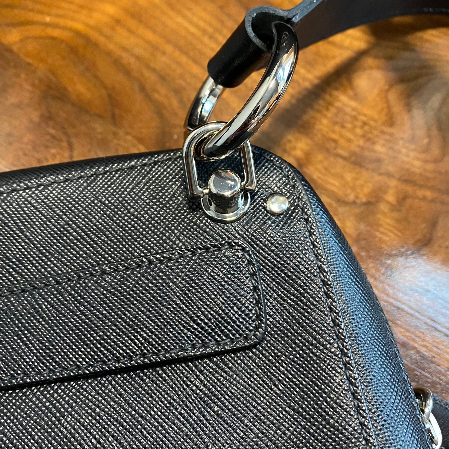 The Swan -Orvis bags Prada Organizer with Studs Crossbody/Wristlet
