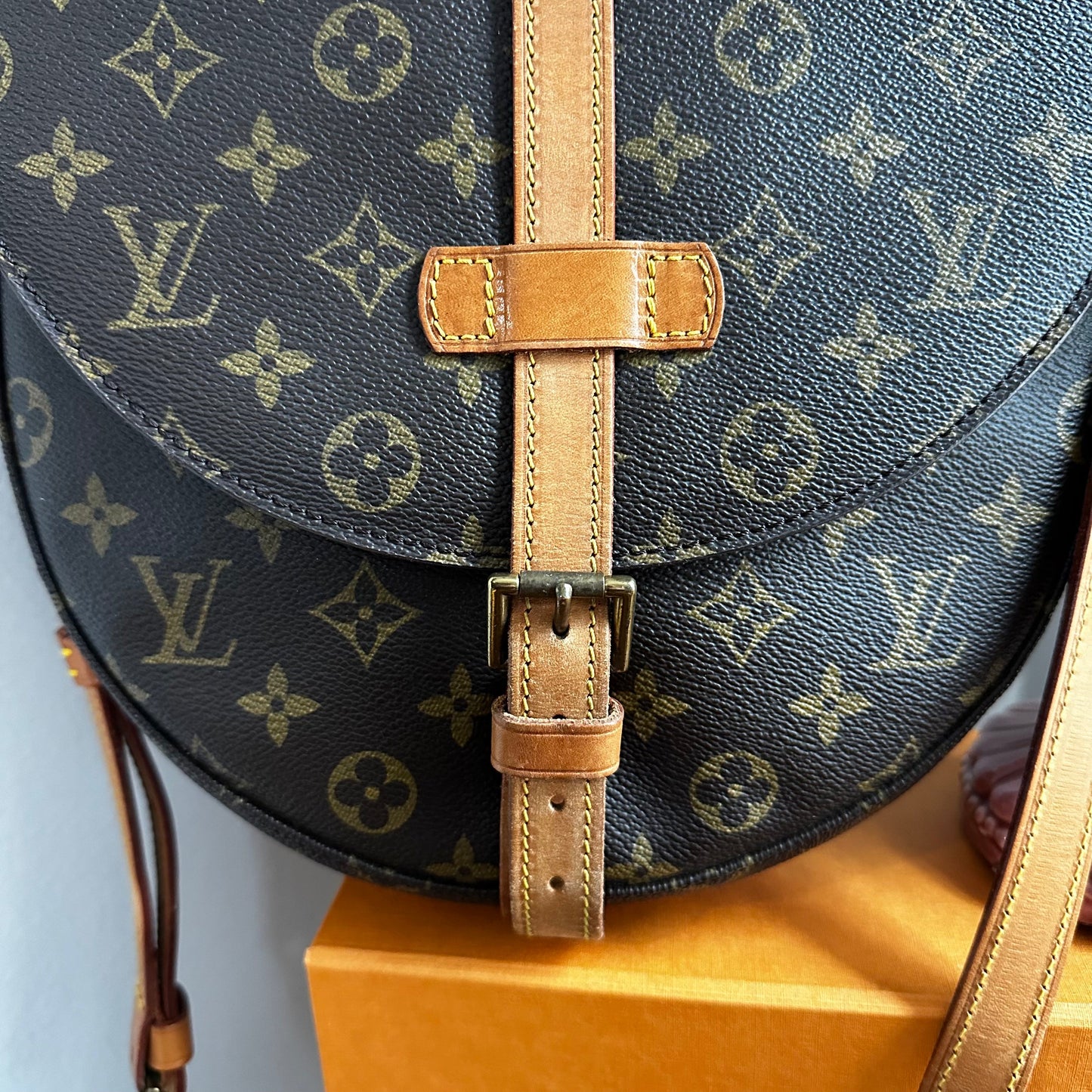 The Dove Crossbody -Orvis bags LV Monogram in Vachetta