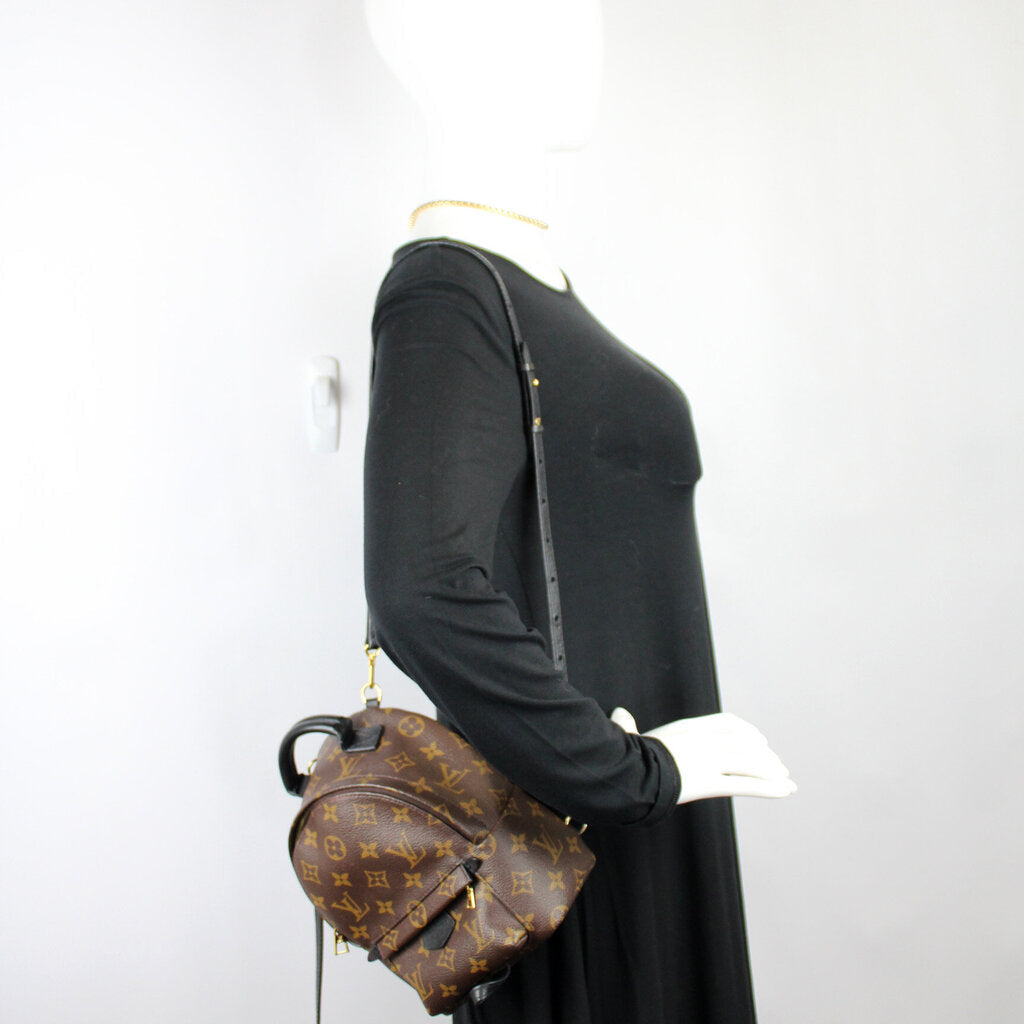 Palm Springs Mini Backpack Monogram