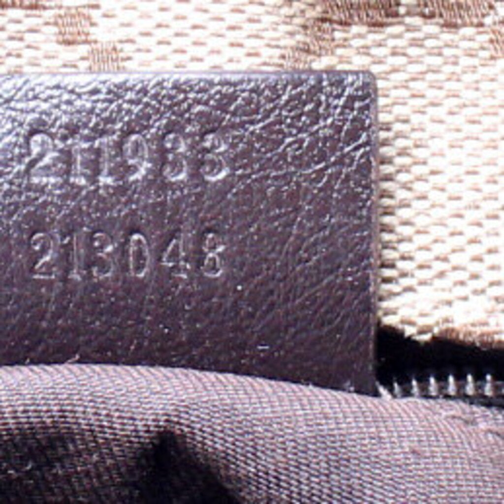211933 GG Web Canvas Hobo