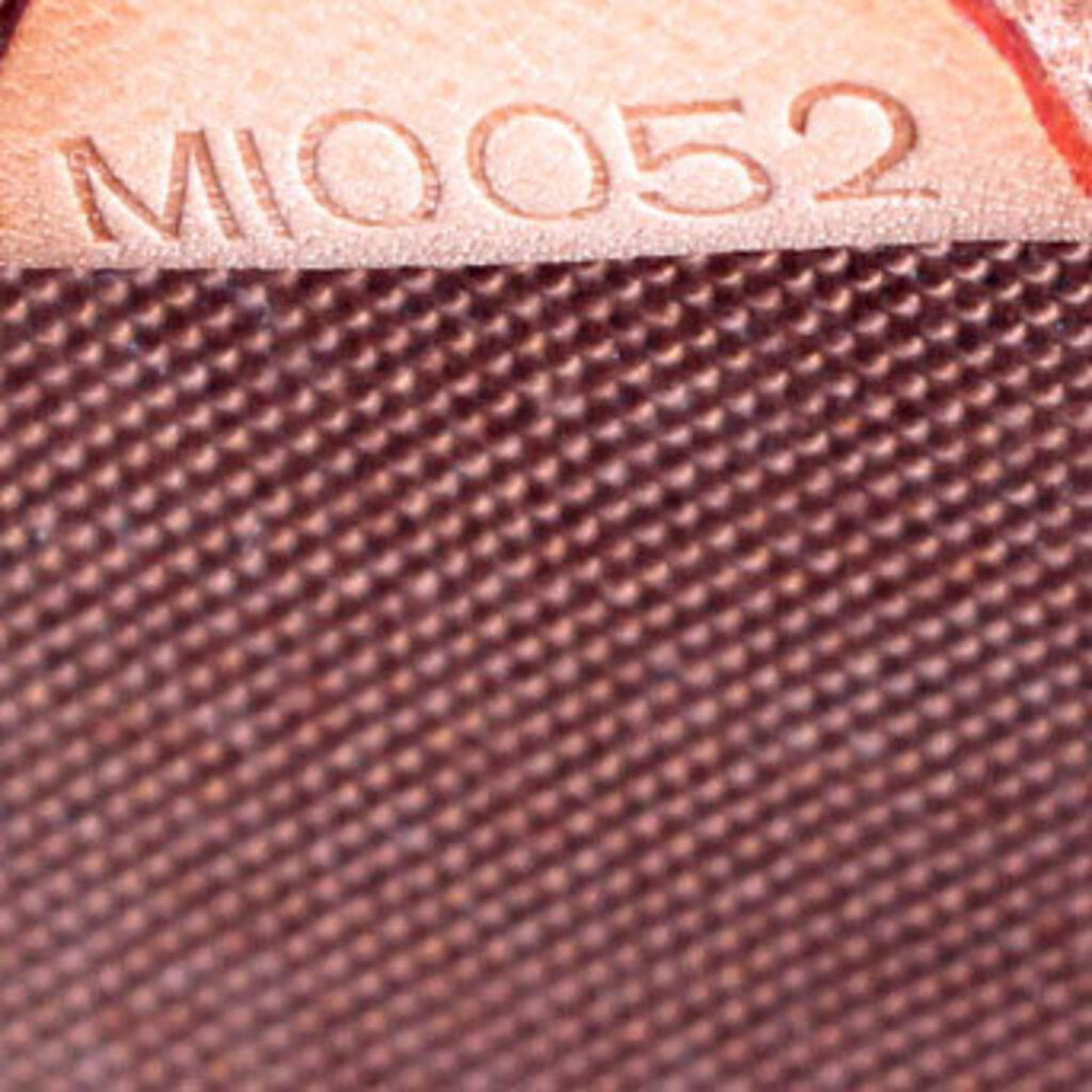 Ellipse Backpack Monogram