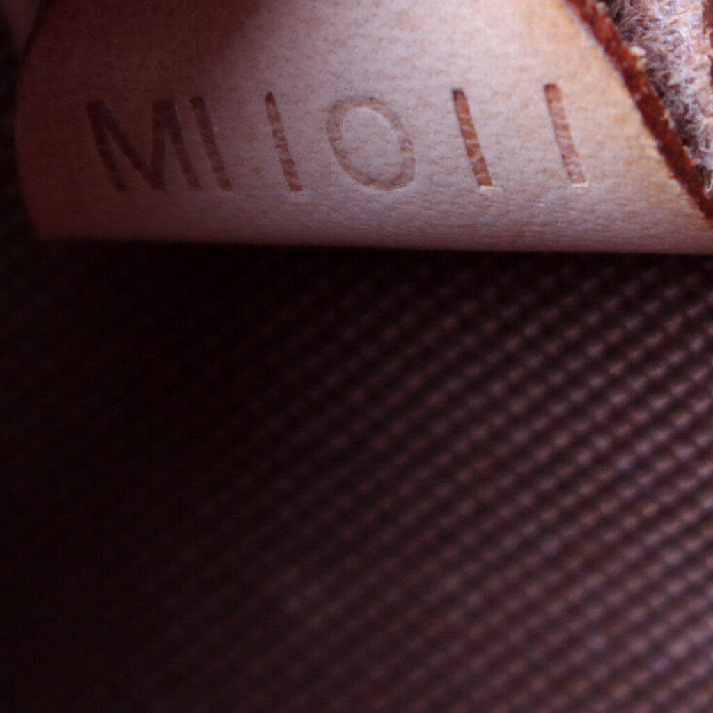 Ellipse Backpack Monogram
