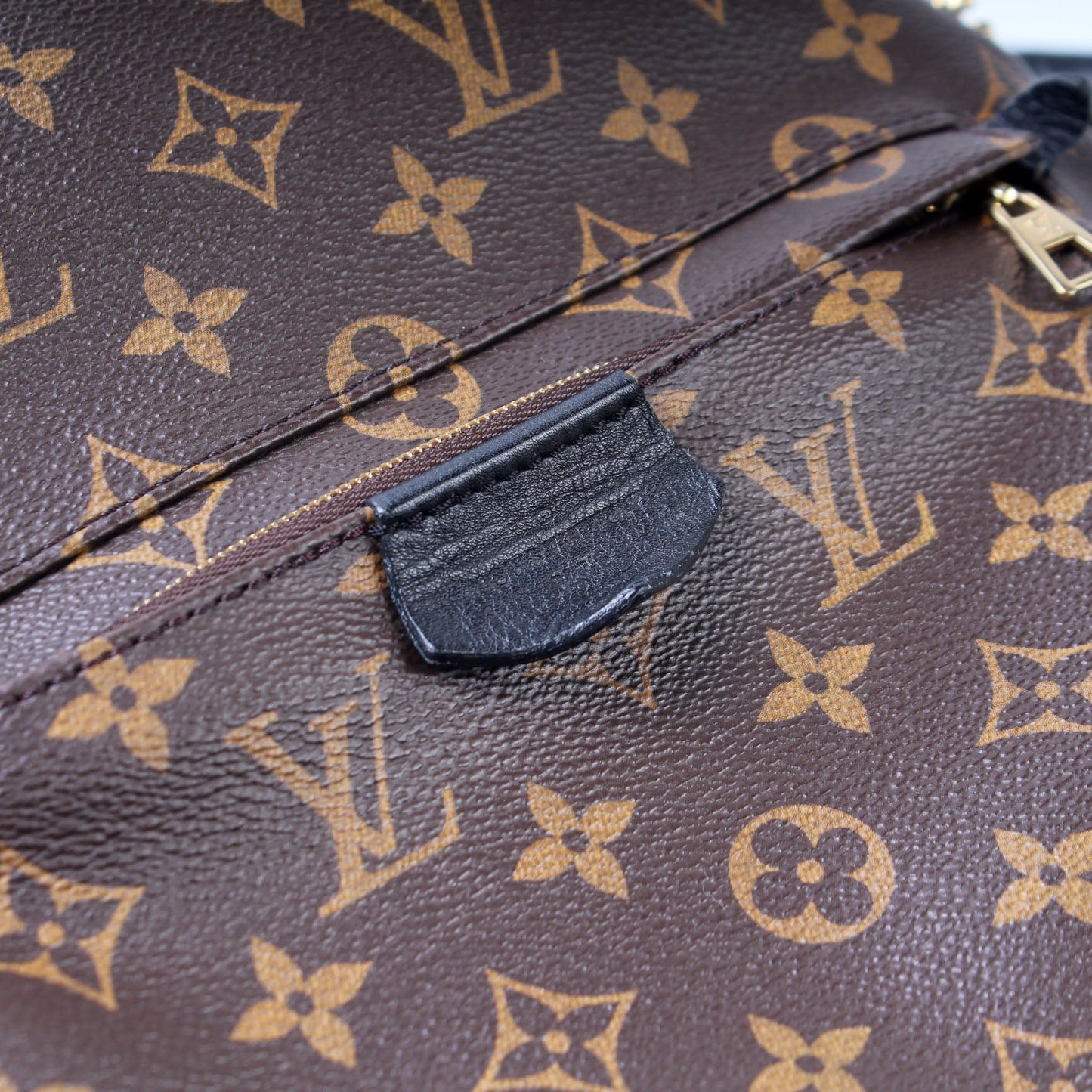 Palm Springs Backpack MM Monogram