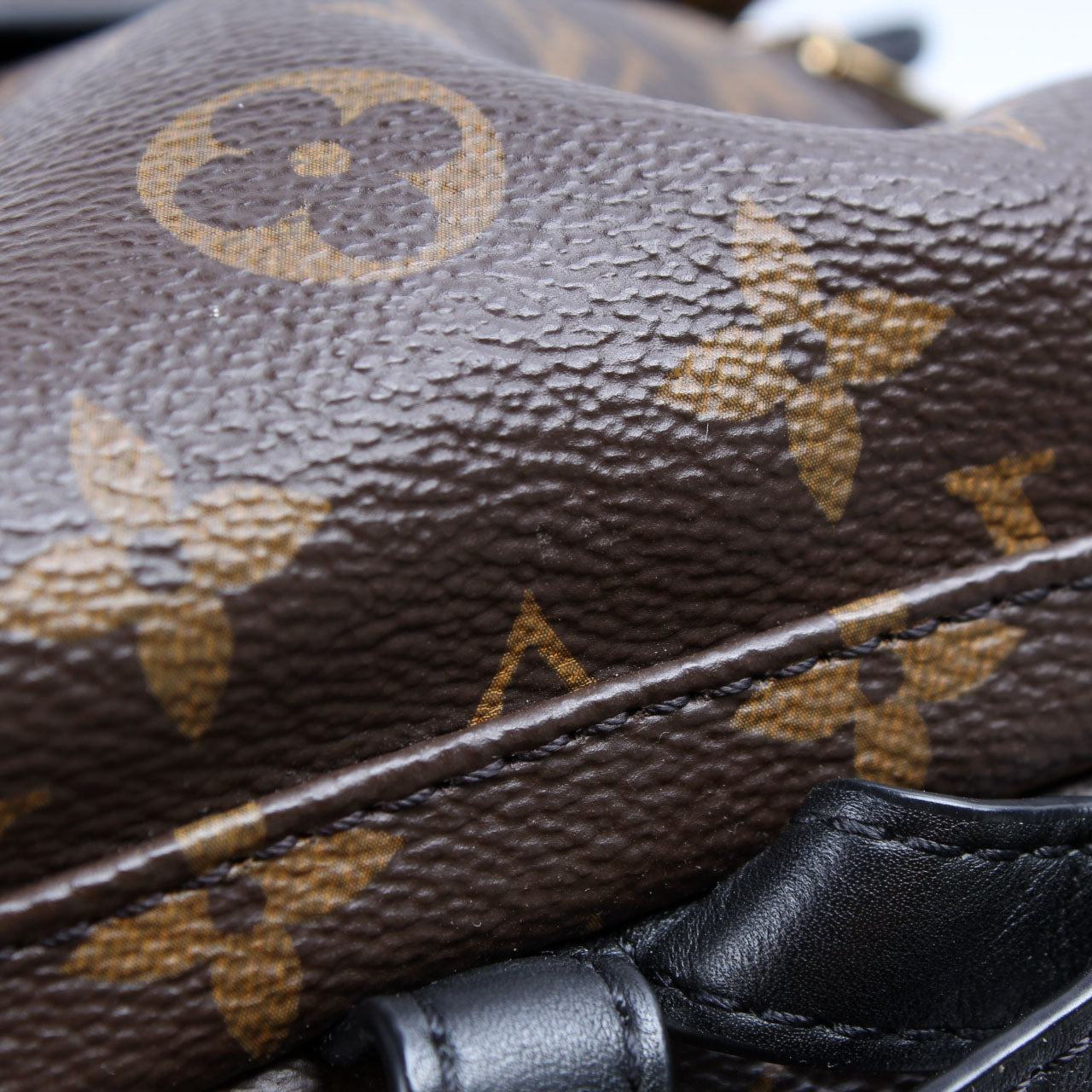Palm Springs Backpack PM Monogram